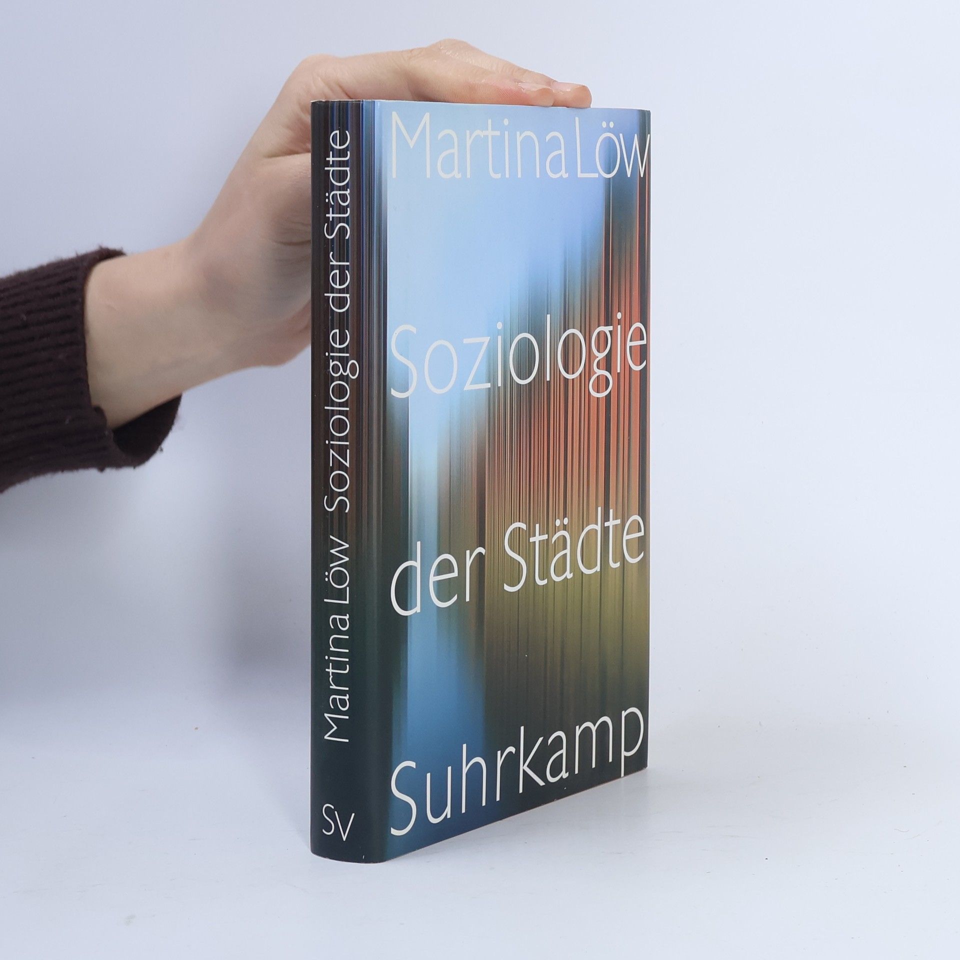 Soziologie der Städte