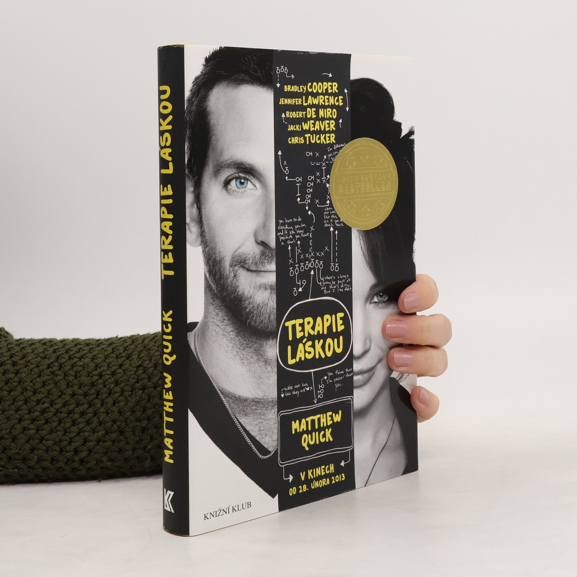 Matthew Quick Terapie láskou
