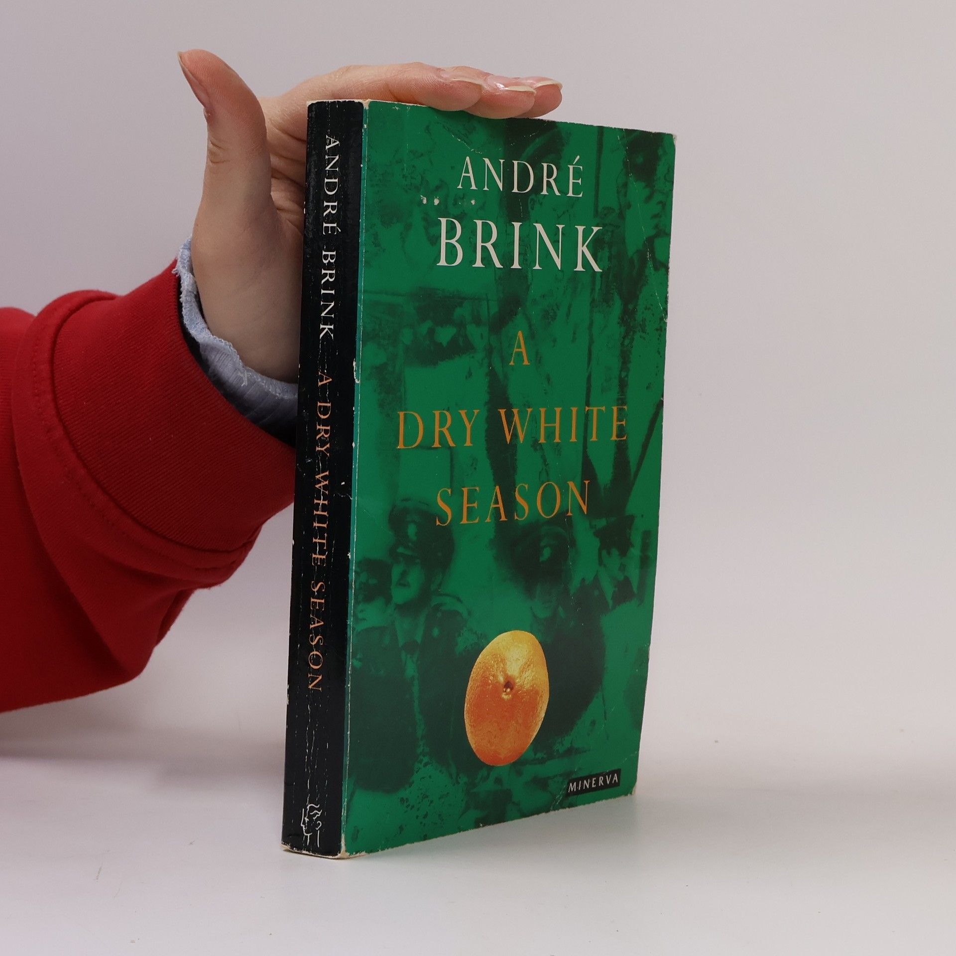 André Brink A Dry White Season