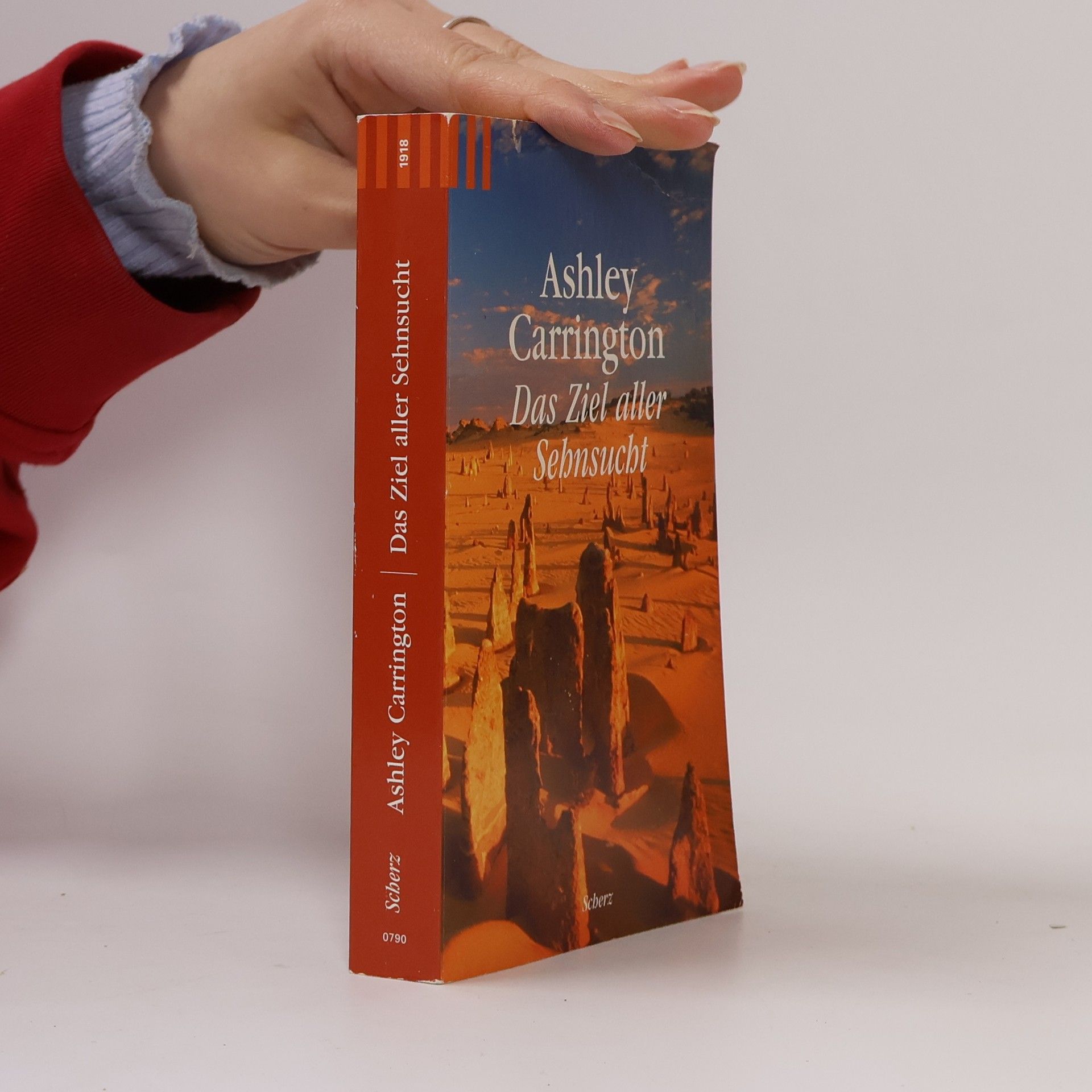 Rainer M. Schröder Das Ziel aller Sehnsucht