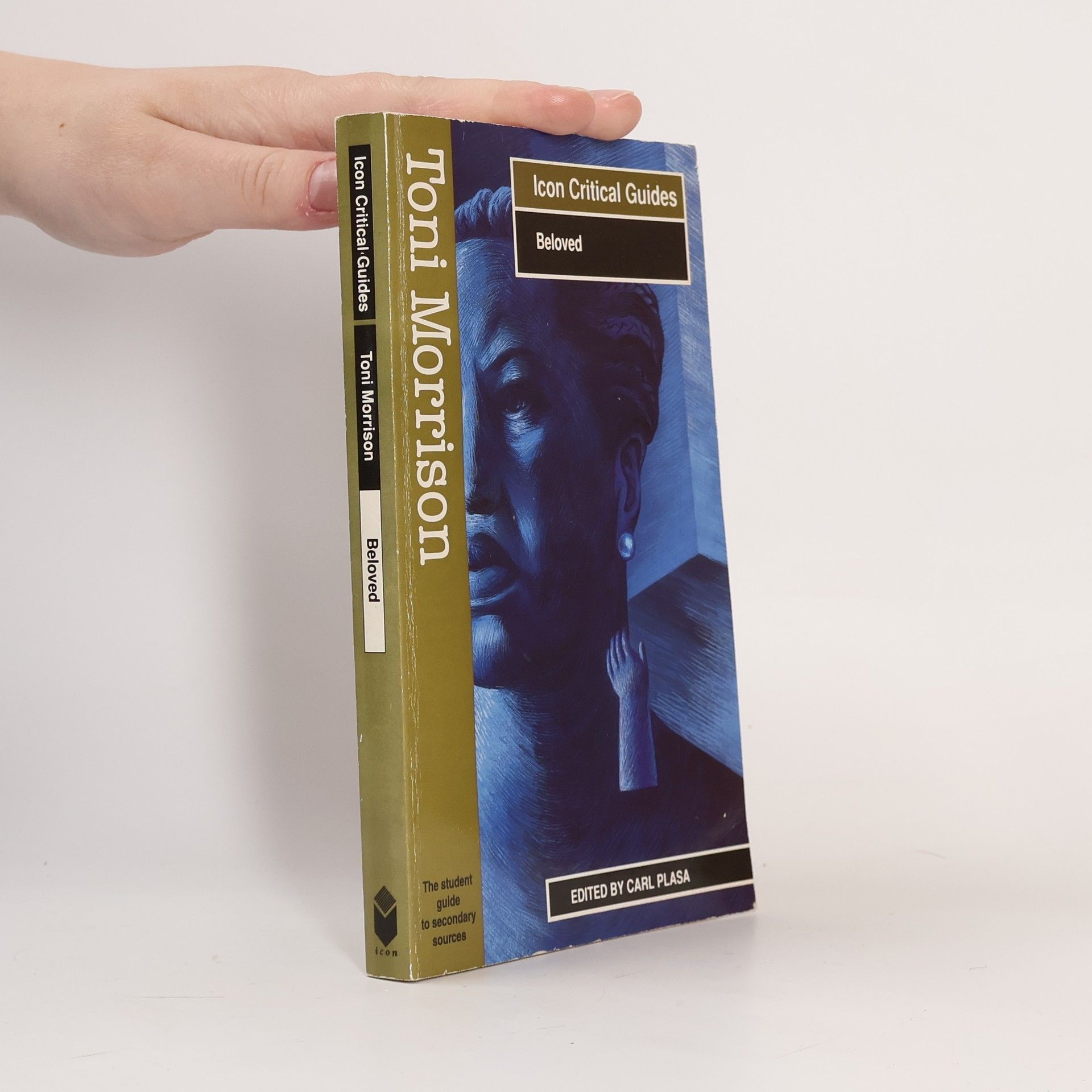 Carl Plasa Toni Morrison