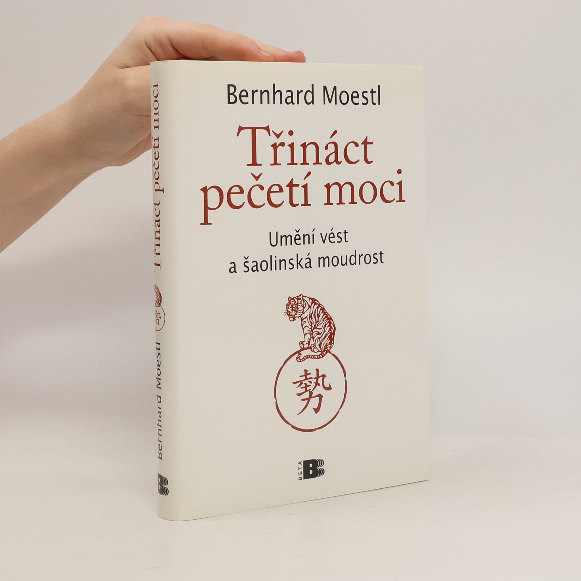 Bernhard Moestl Třináct pečetí moci : umění vést a šaolinská moudrost