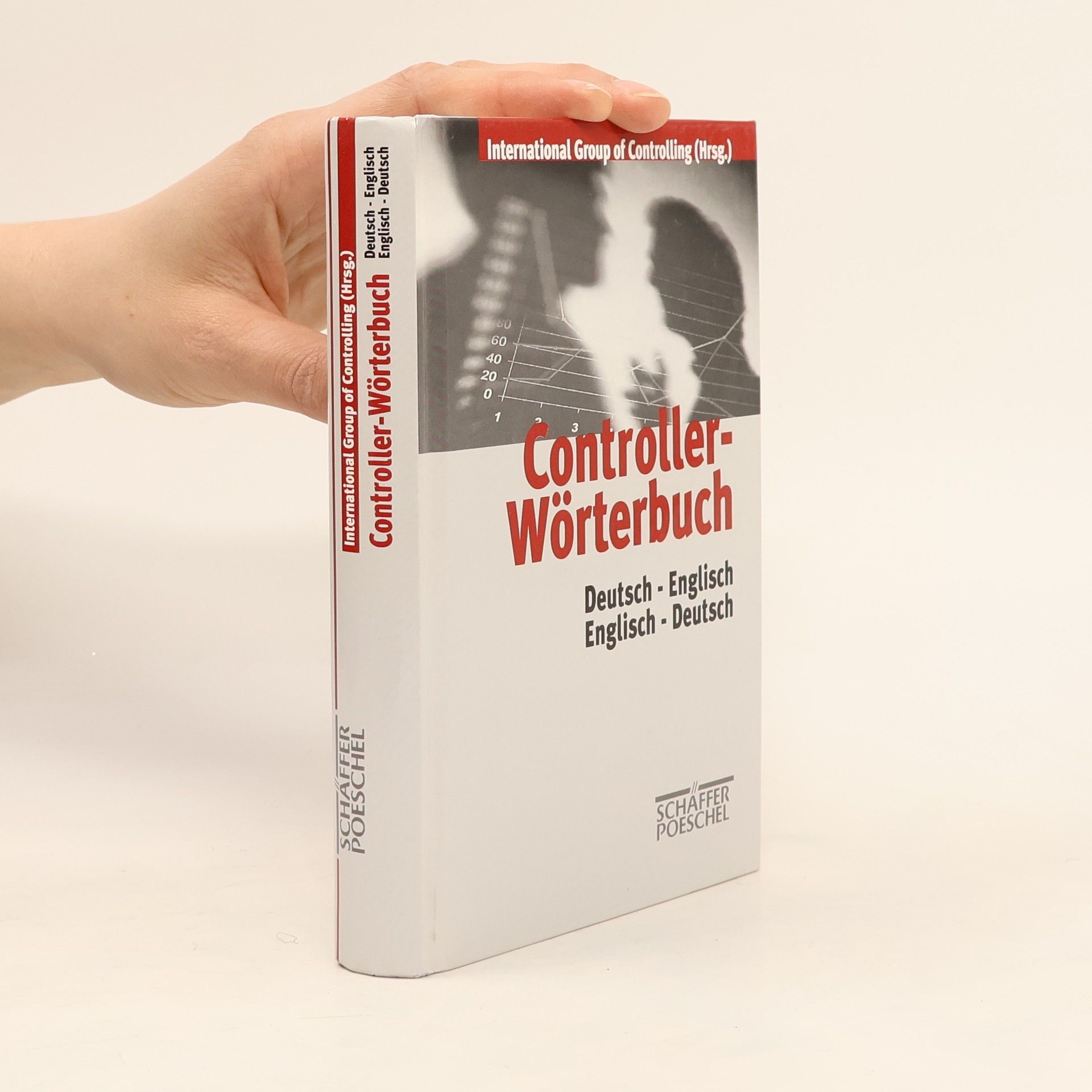 Kolektiv autorů Controller-Wörterbuch