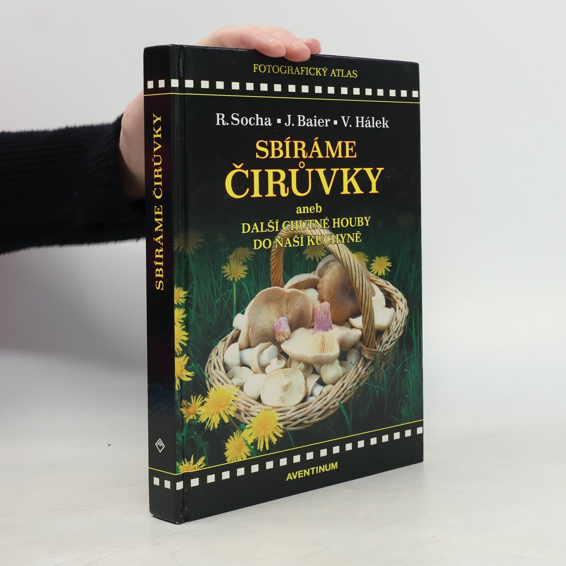 Sbíráme čirůvky, aneb, Další chutné houby do naší kuchyně