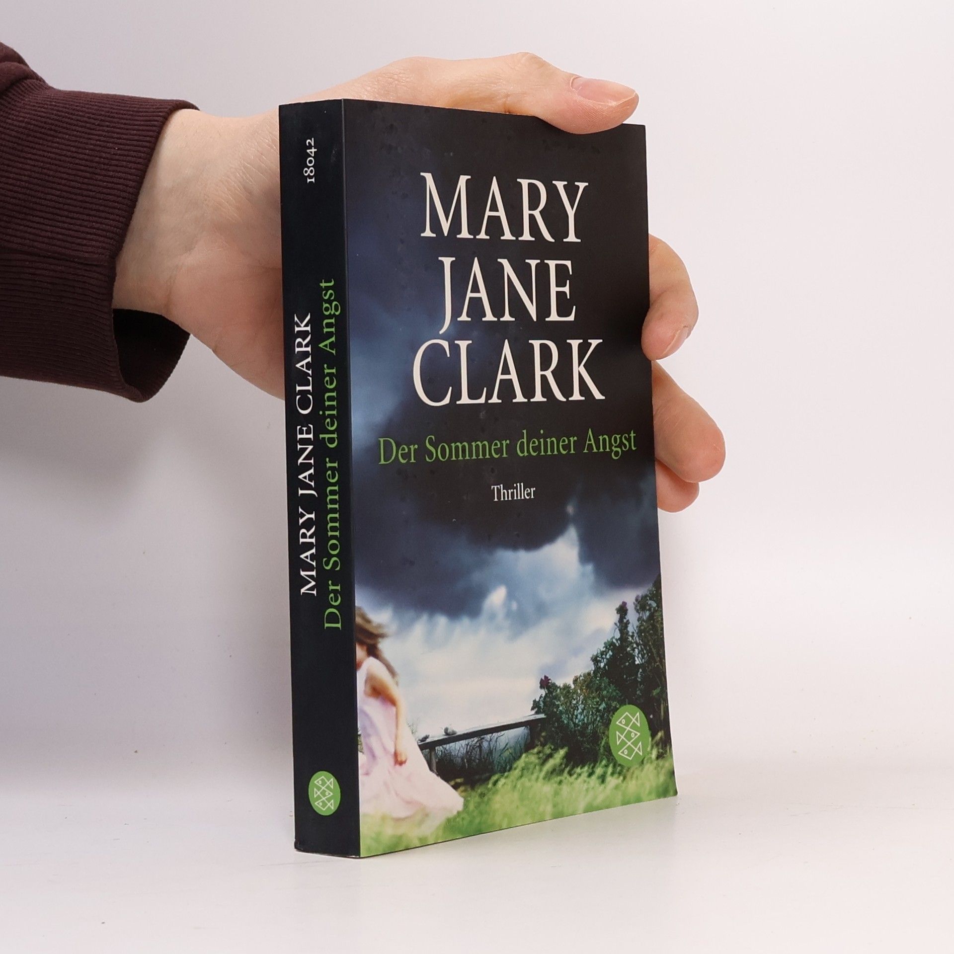 Mary Jane Clark Der Sommer deiner Angst