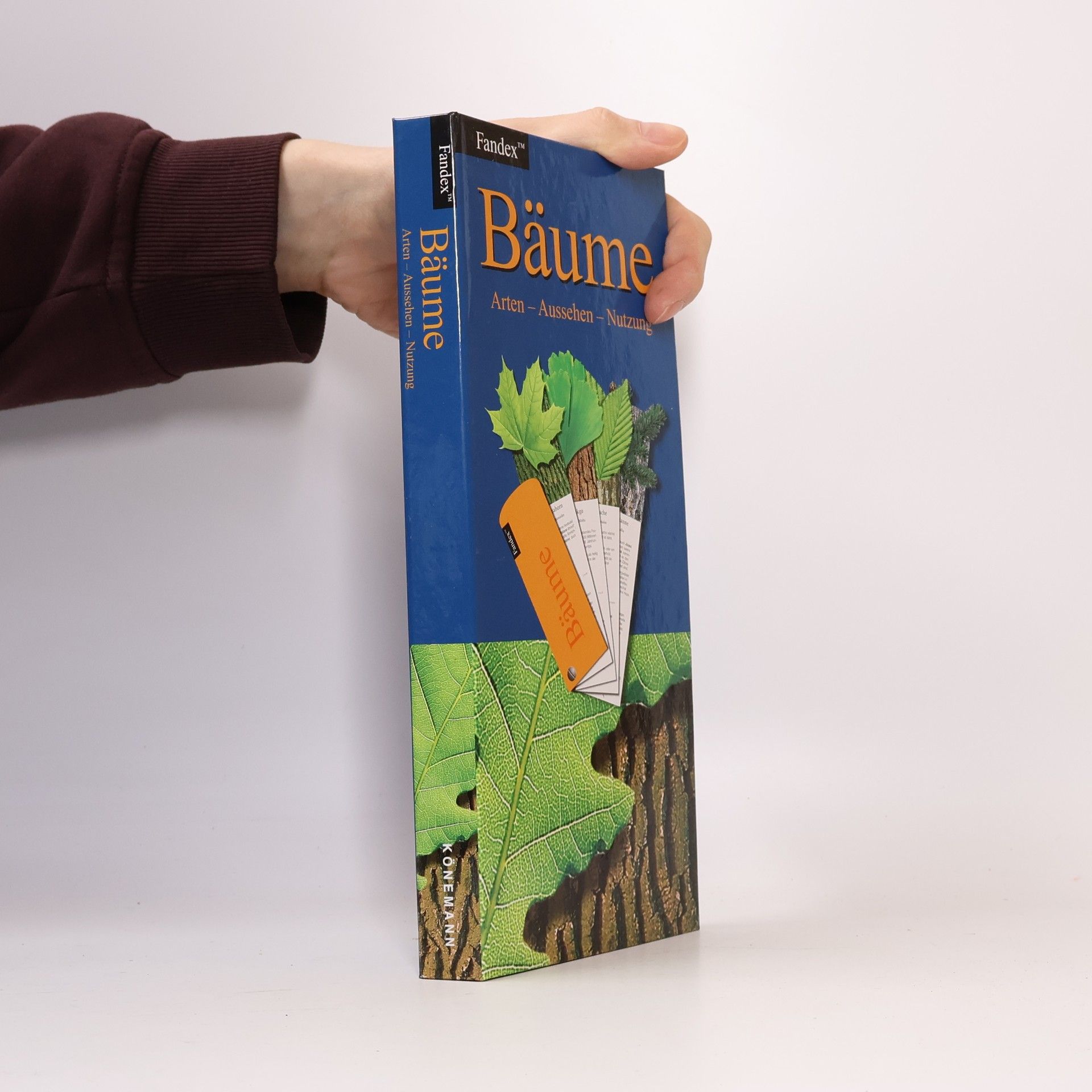 Autorenkollektiv Bäume. Arten - Aussehen - Nutzung