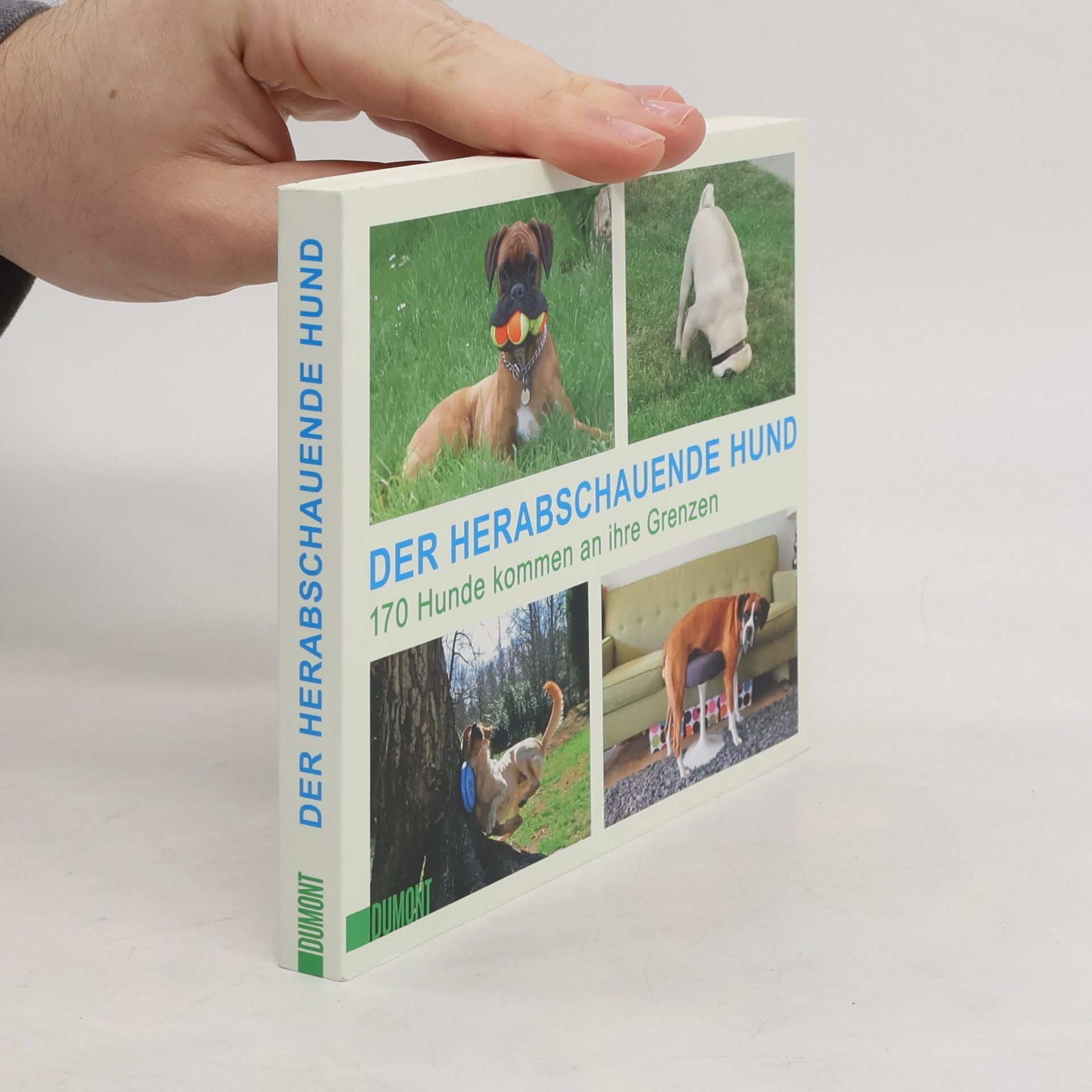 Collectif d'auteurs Der herabschauende Hund