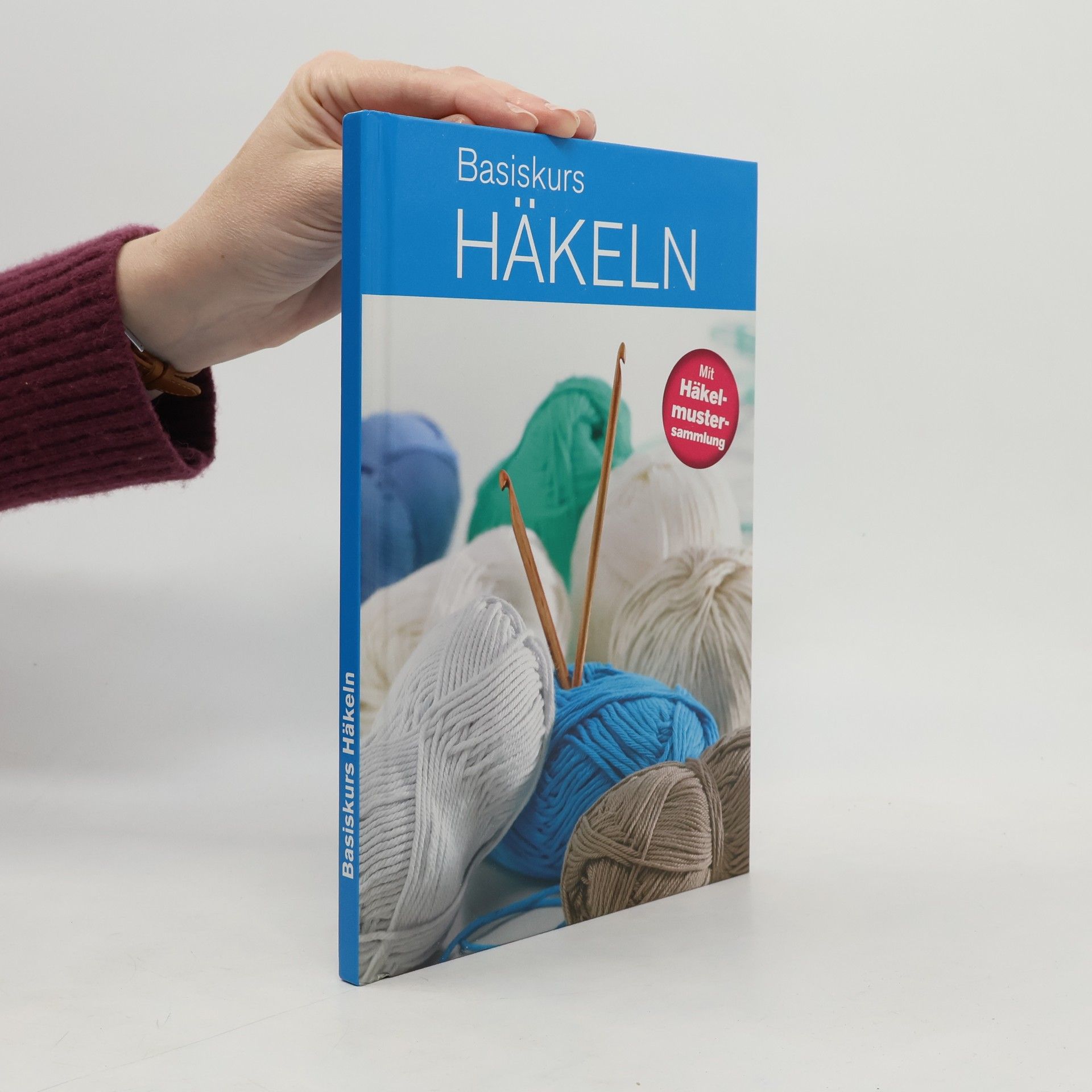 Autorenkollektiv Basiskurs Häkeln