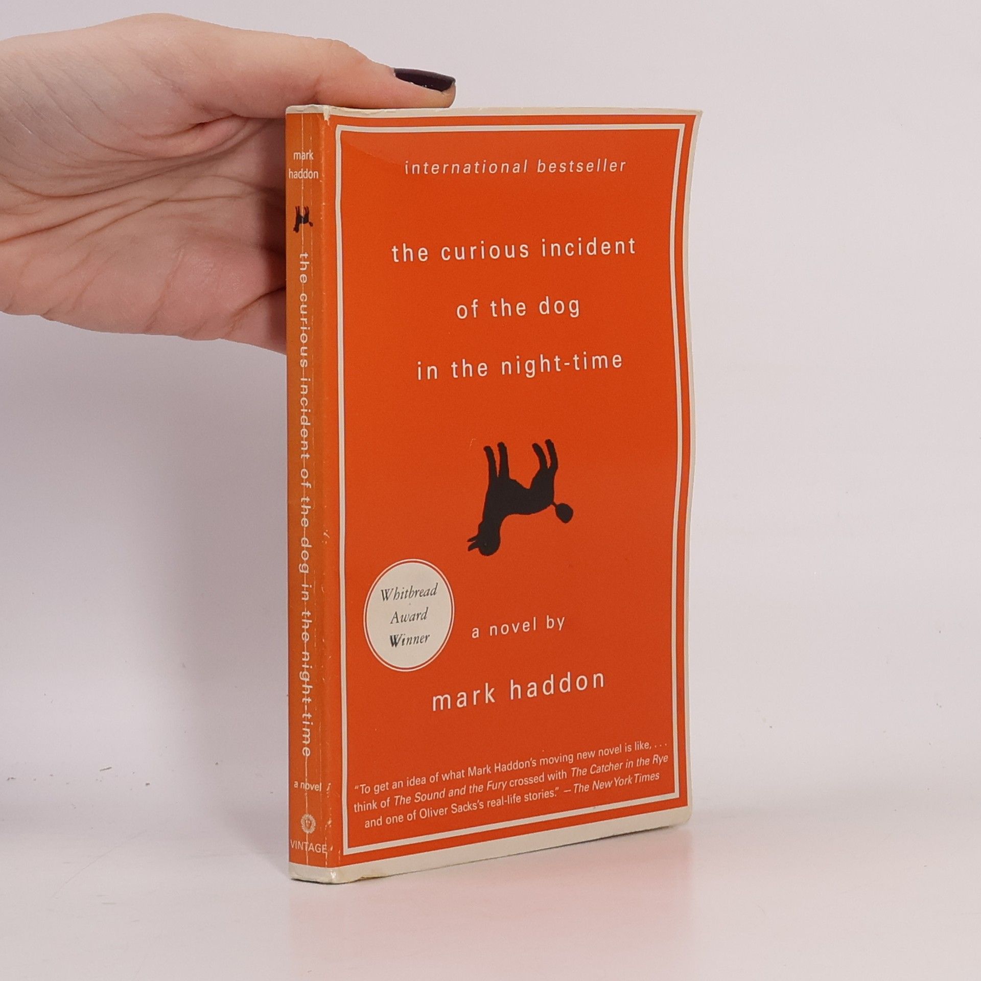 Mark Haddon The curious incident of the dog in the night-time