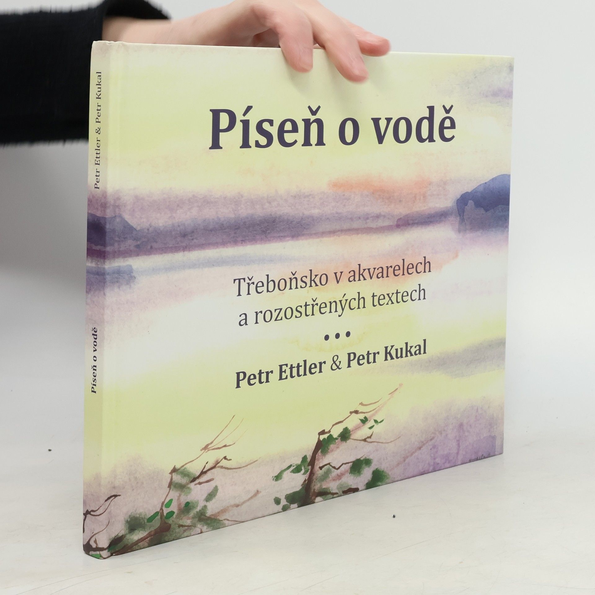 Píseň o vodě. Třeboňsko v akvarelech a rozostřených textech