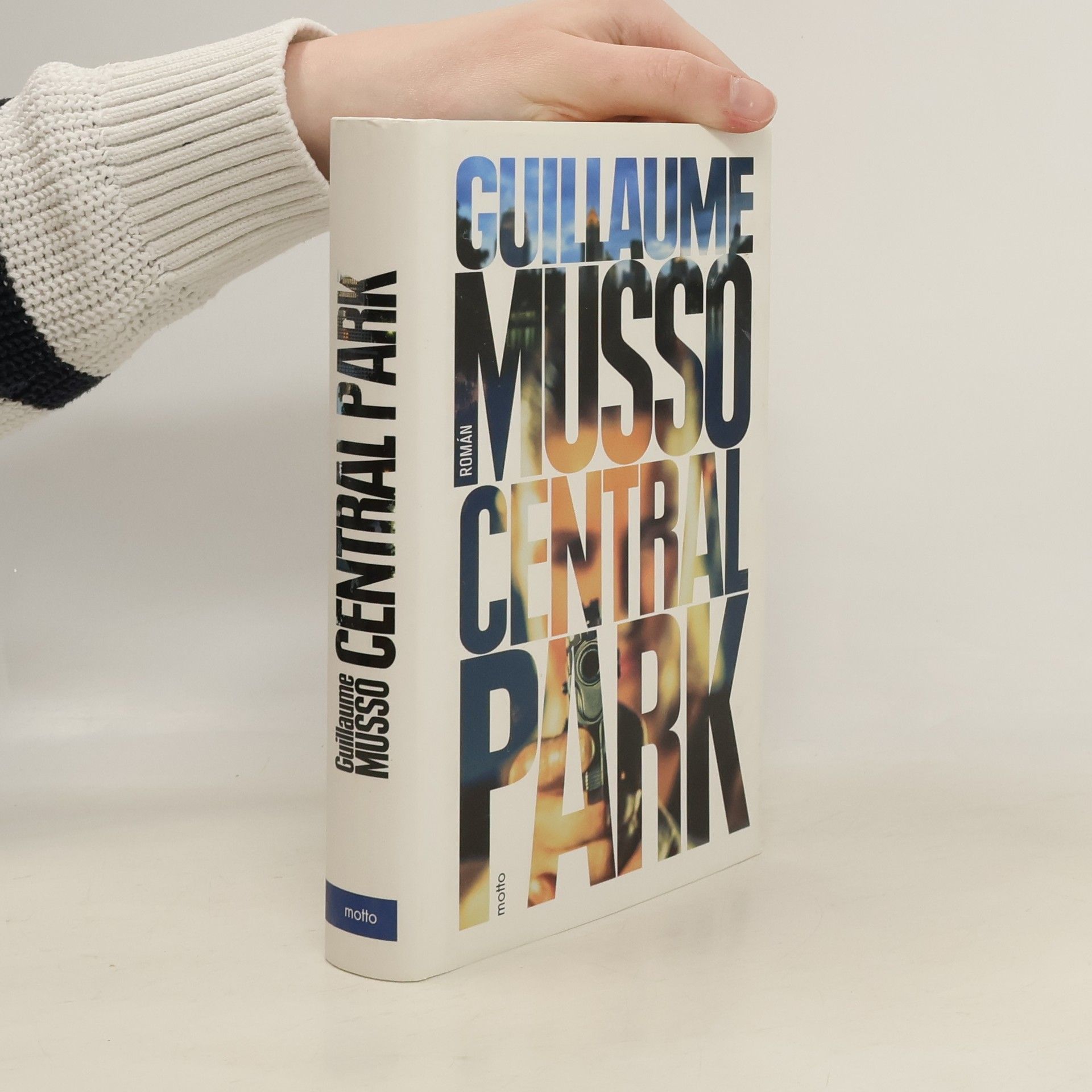 Guillaume Musso Central Park