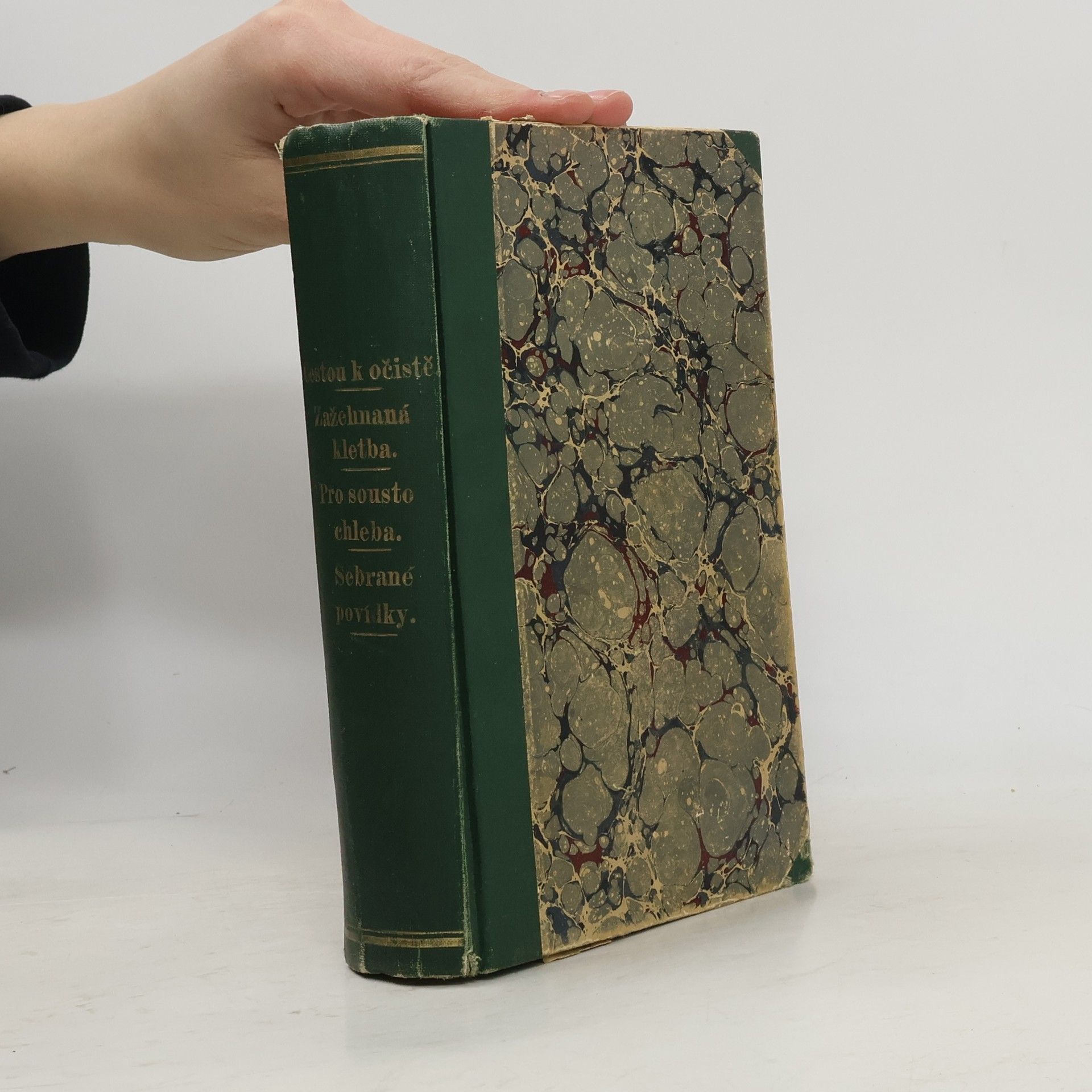 Václav Špaček Cestou k očistě