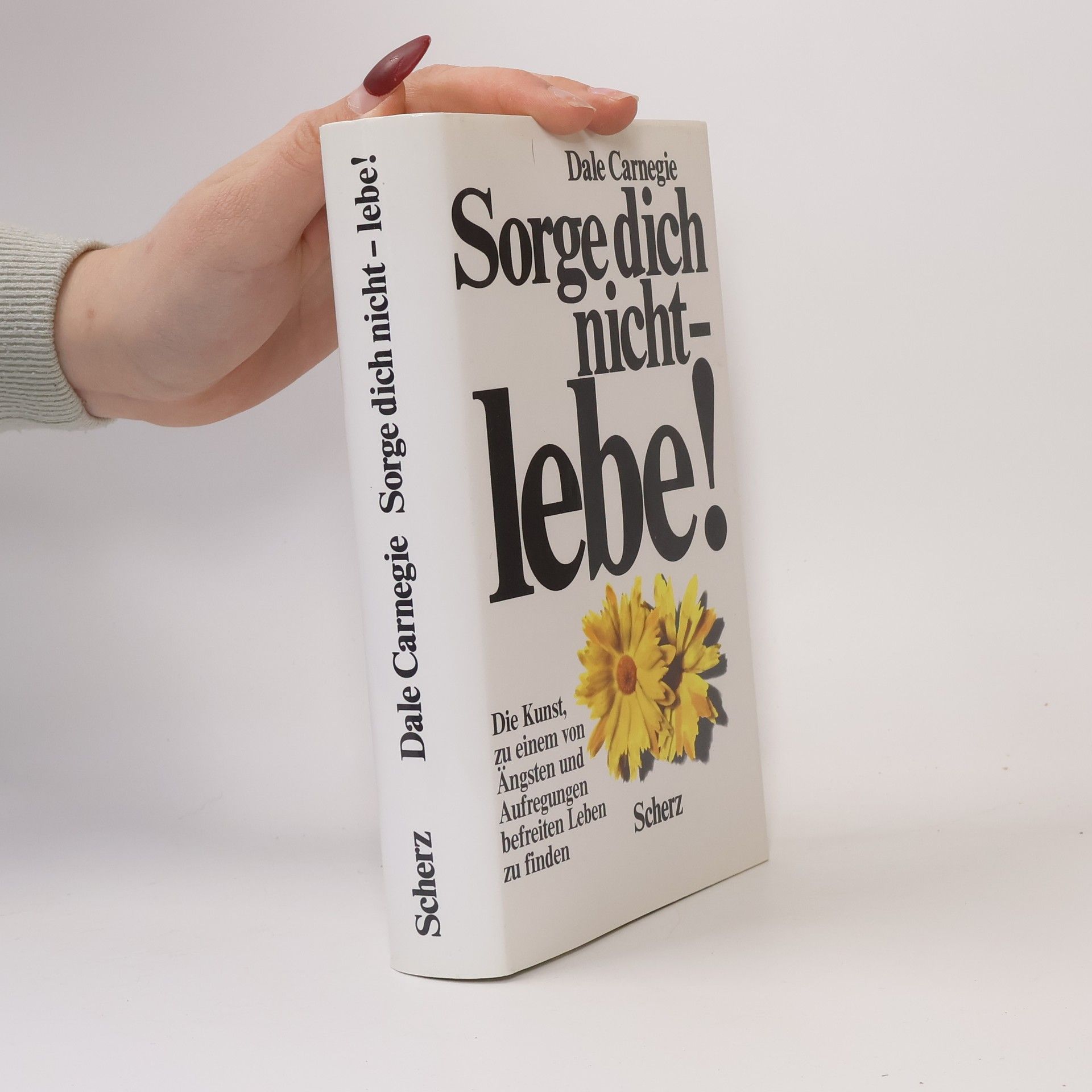 Dale Carnegie Sorge dich nicht - lebe!