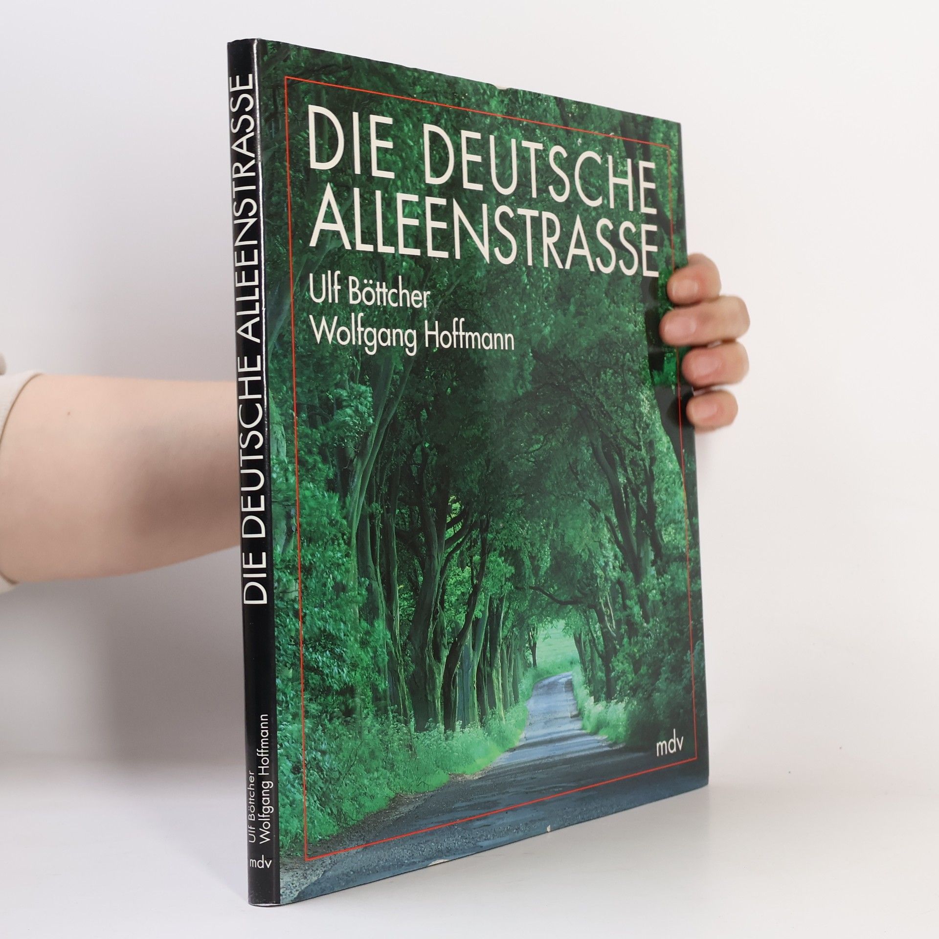 Die deutsche Alleenstrasse