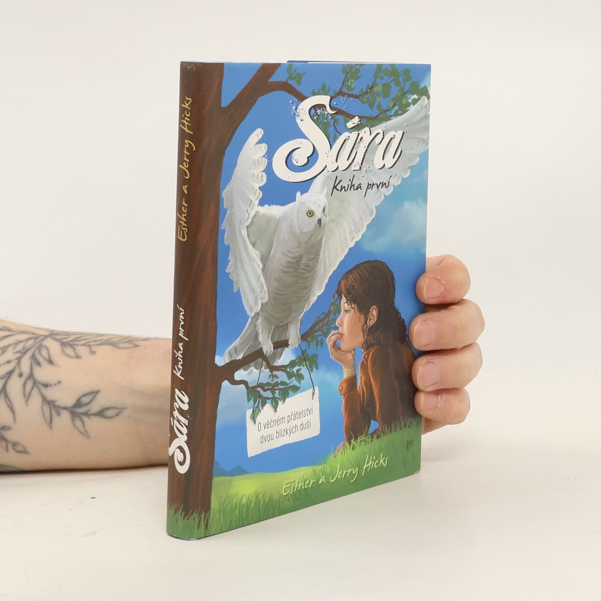 Esther Hicks Sára. Kniha první, O věčném přátelství dvou blízkých duší
