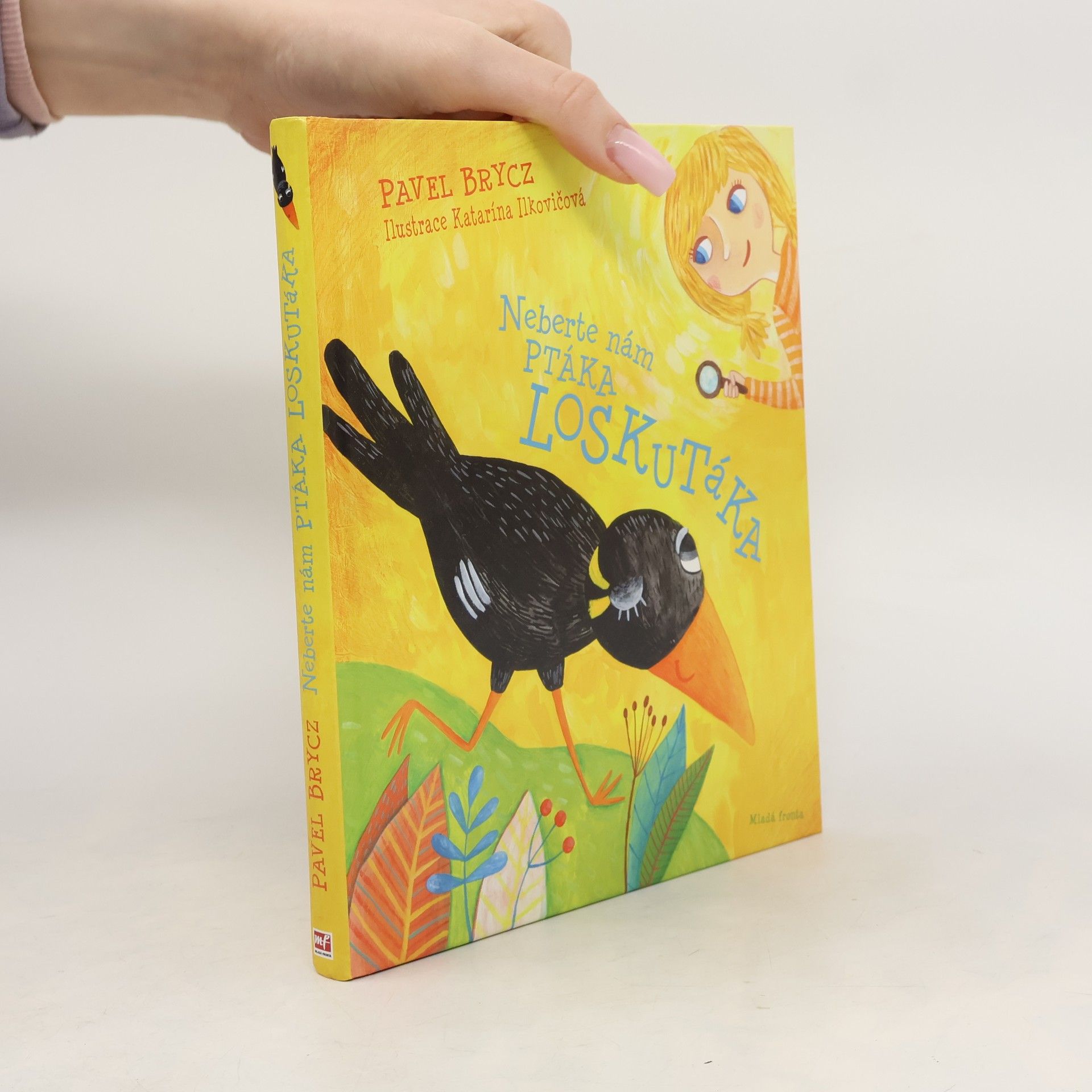 Neberte nám ptáka Loskutáka