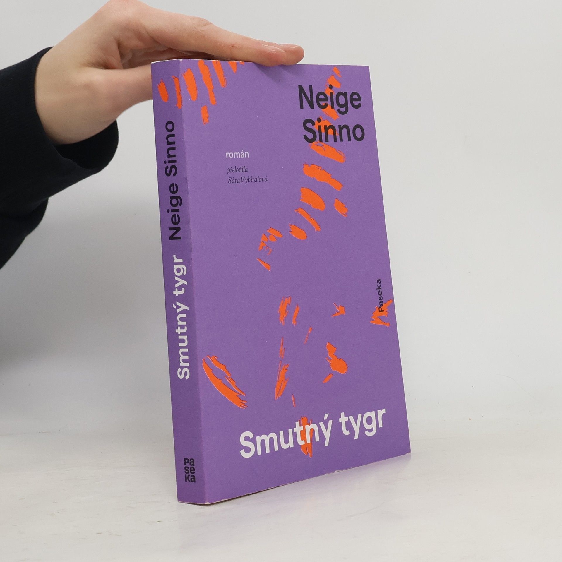 Neige Sinno Smutný tygr