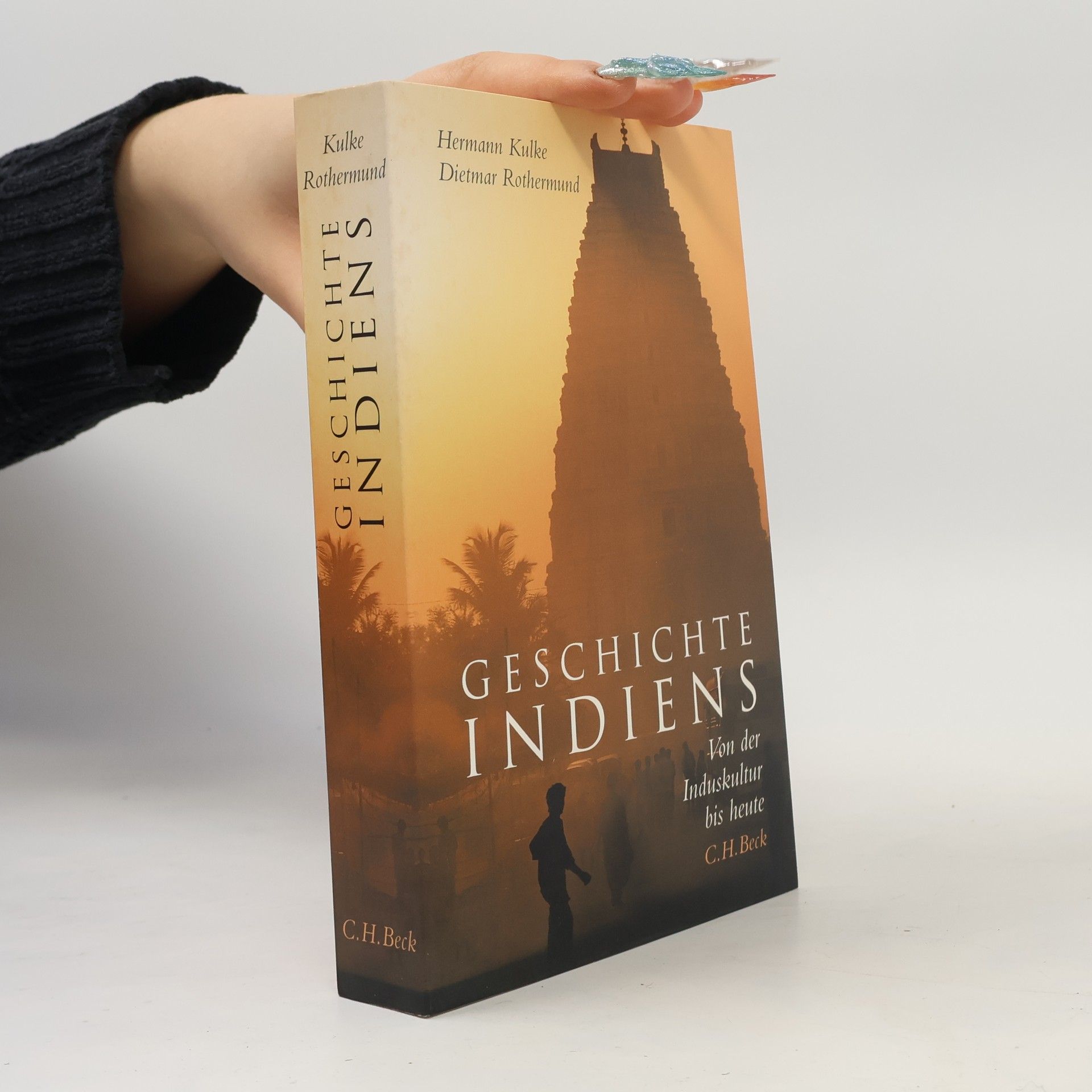 Geschichte Indiens. Sonderausgabe