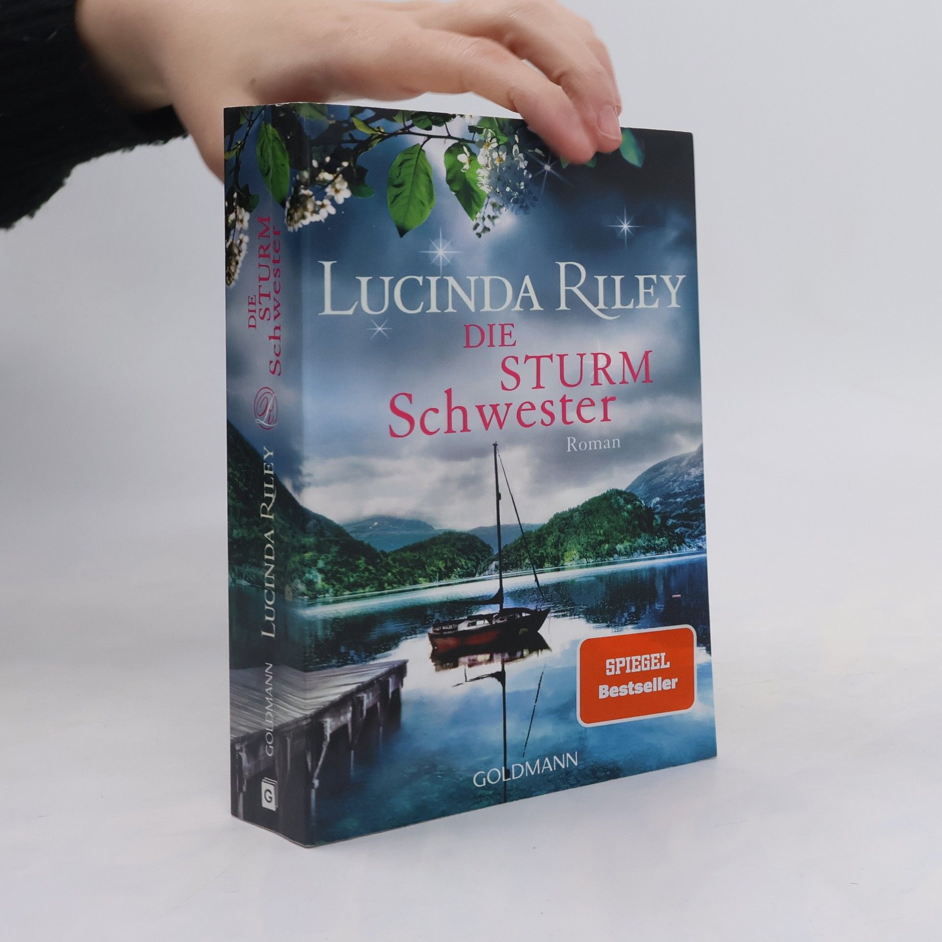 Lucinda Riley Die Sturmschwester