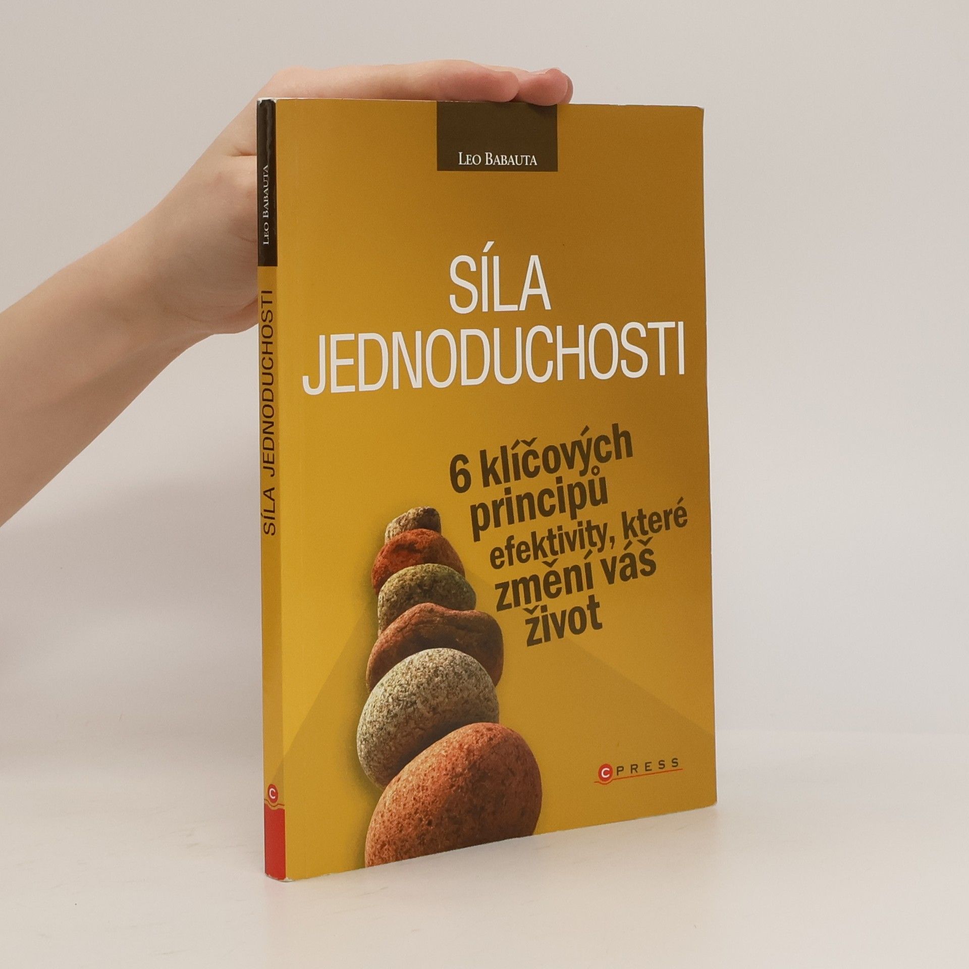 Leo Babauta Síla jednoduchosti. 6 klíčových principů efektivity, které změní váš život