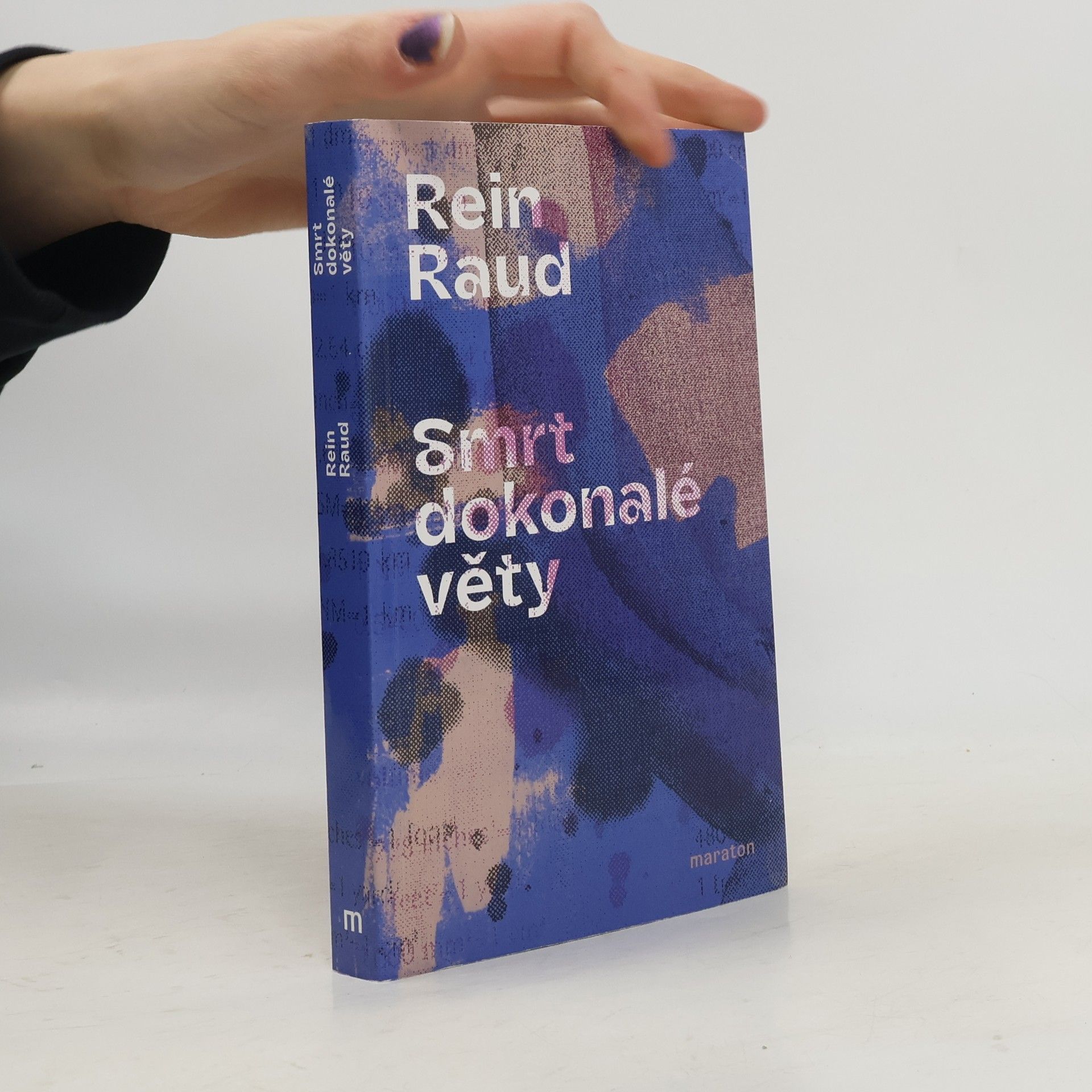 Rein Raud Smrt dokonalé věty