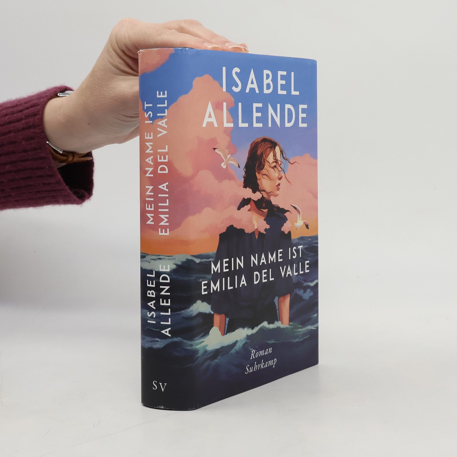 Isabel Allende Mein Name ist Emilia del Valle