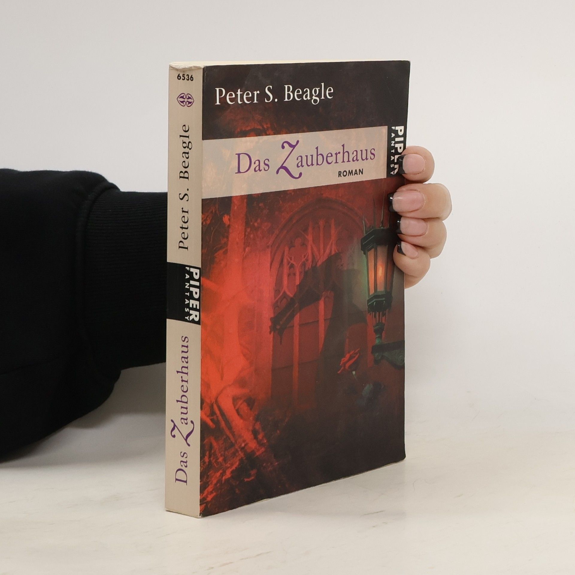 Peter S. Beagle Das Zauberhaus. Roman