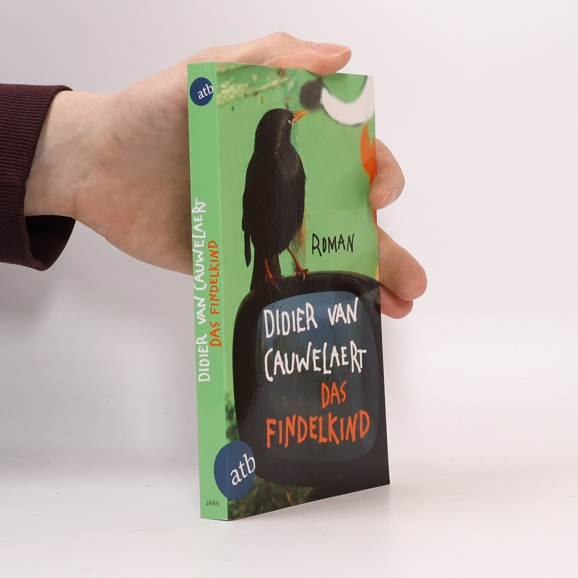 Didier Van Cauwelaert Das Findelkind