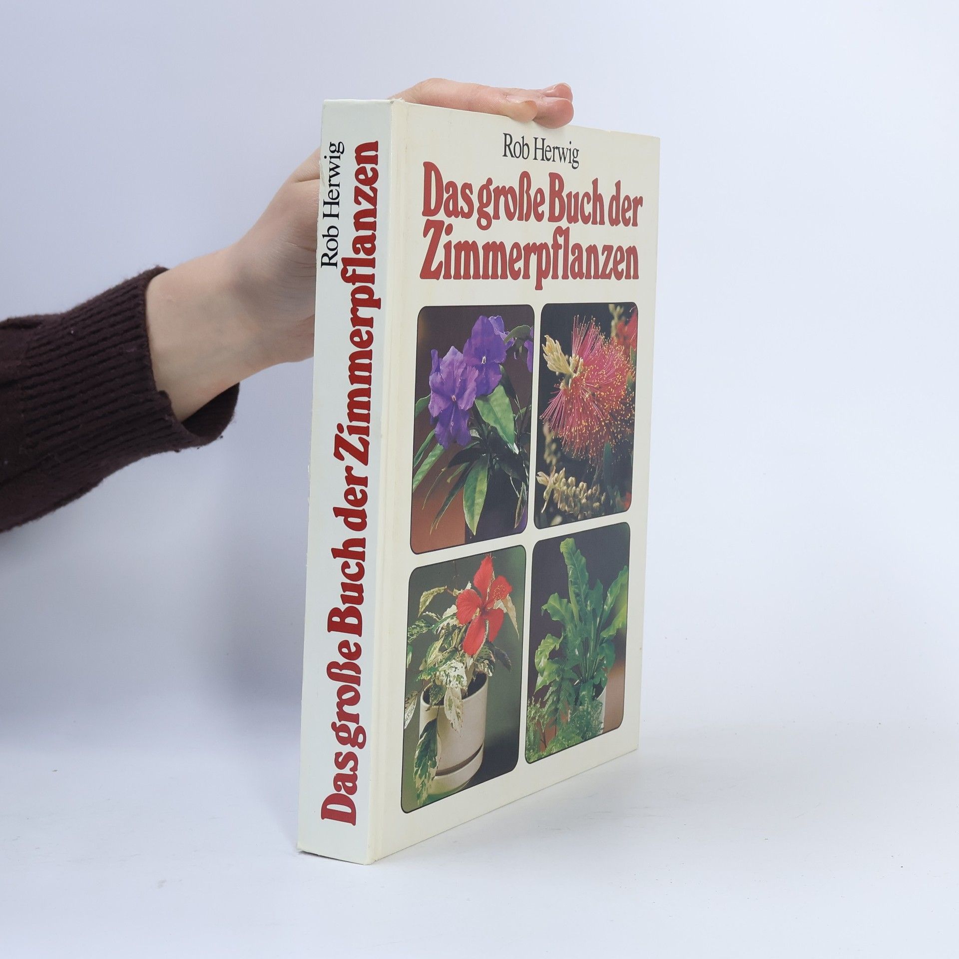 Rob Hewig Das grosse Buch der Zimmerpflanzen