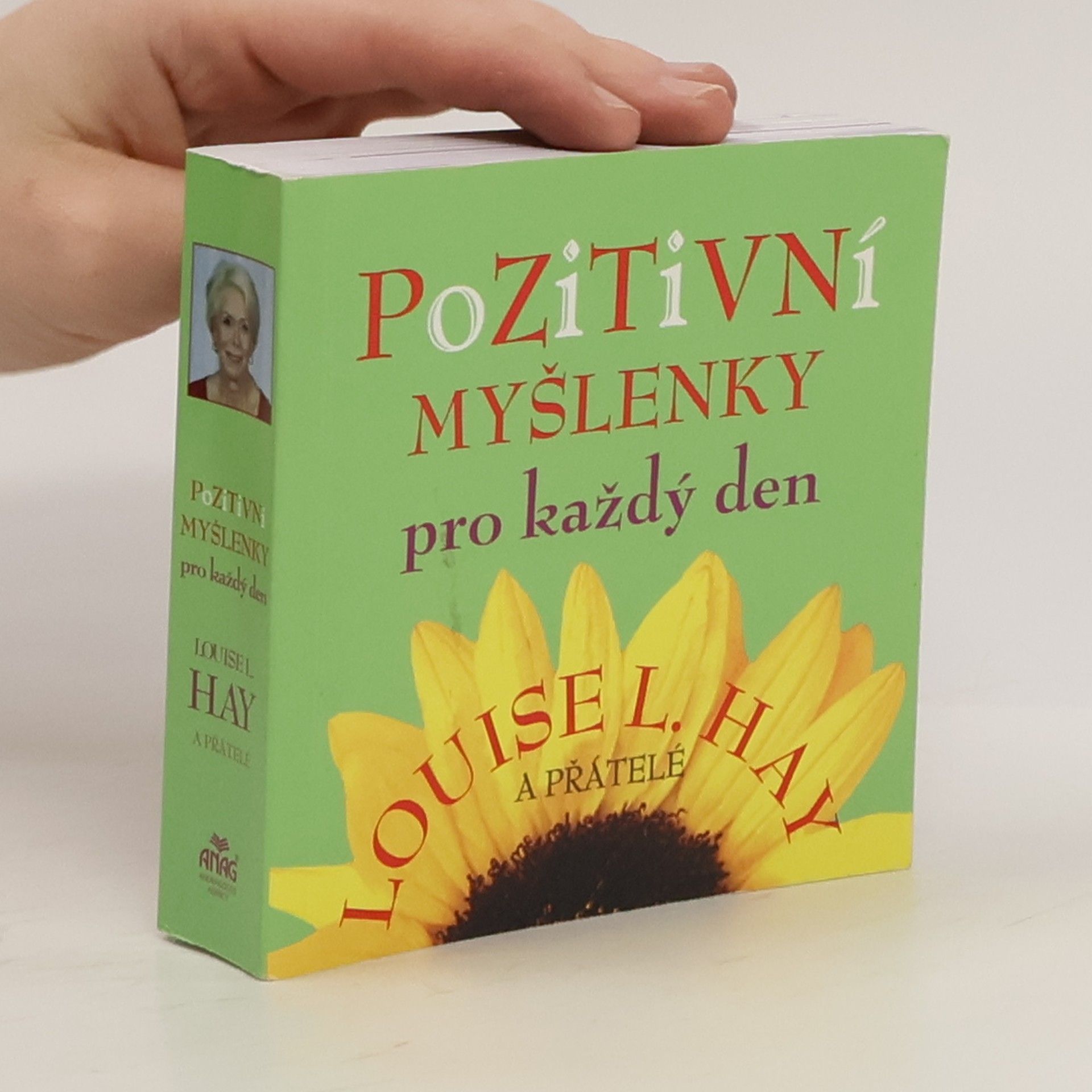 Louise Lynn Hay Pozitivní myšlenky pro každý den