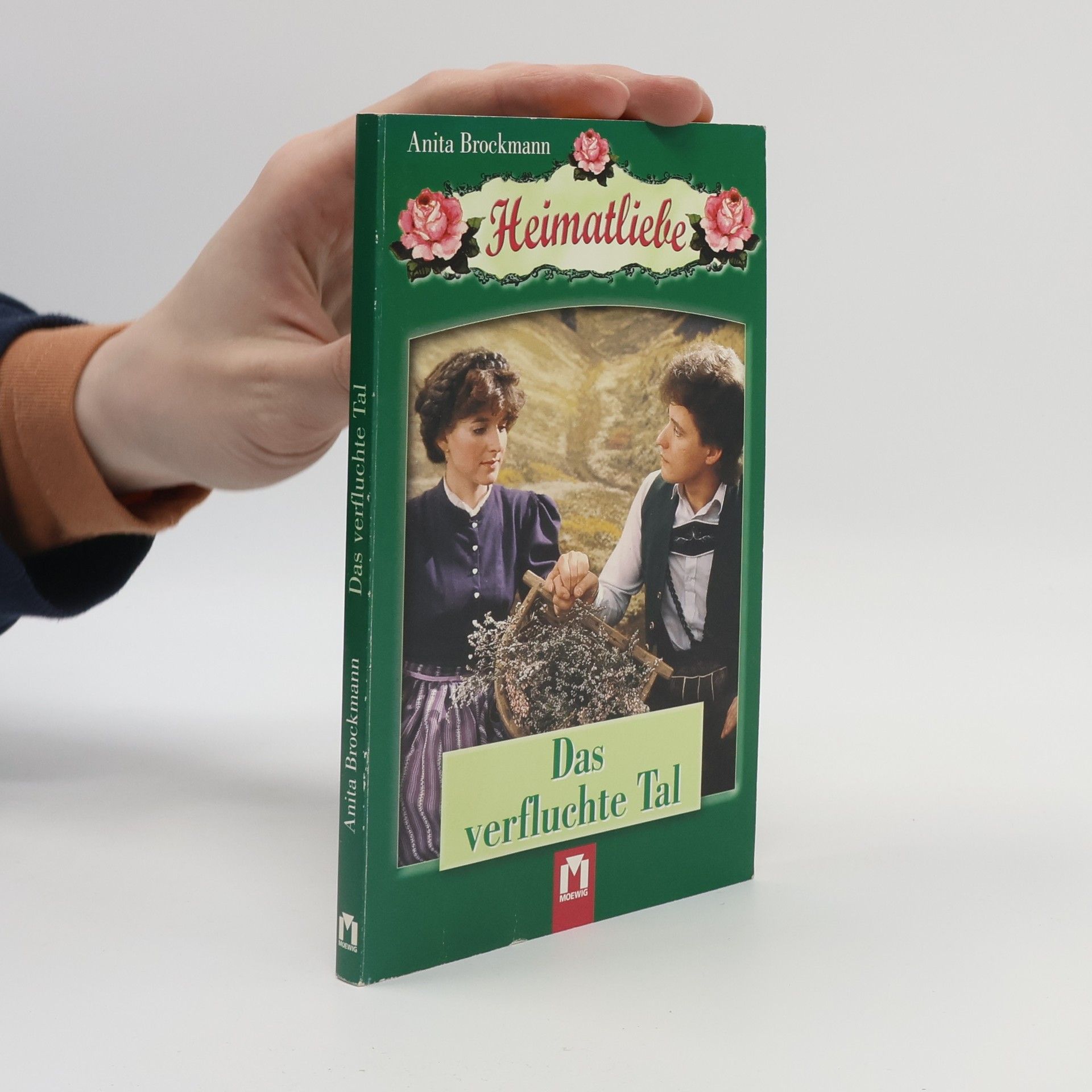 Anita Brockmann Das verfluchte Tal