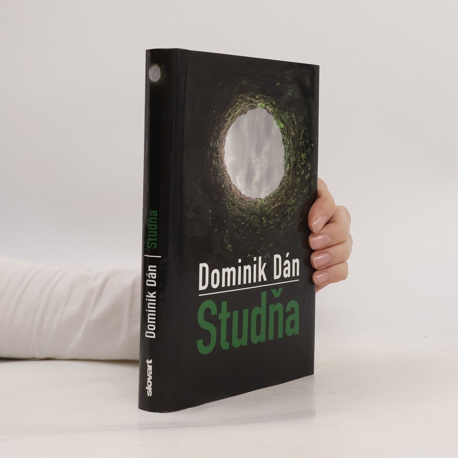 Dominik Dán Studňa