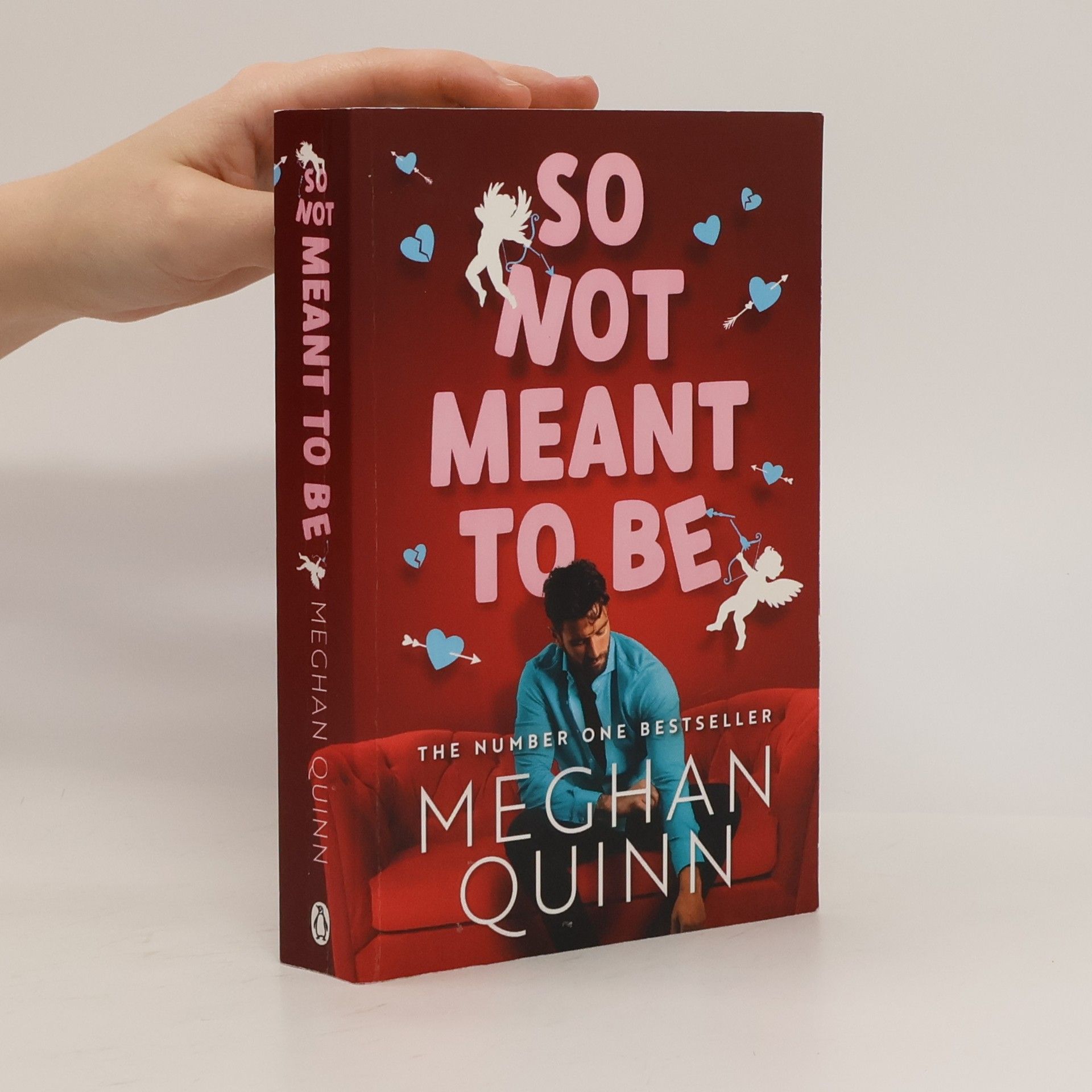 Meghan Quinn So Not Meant to Be