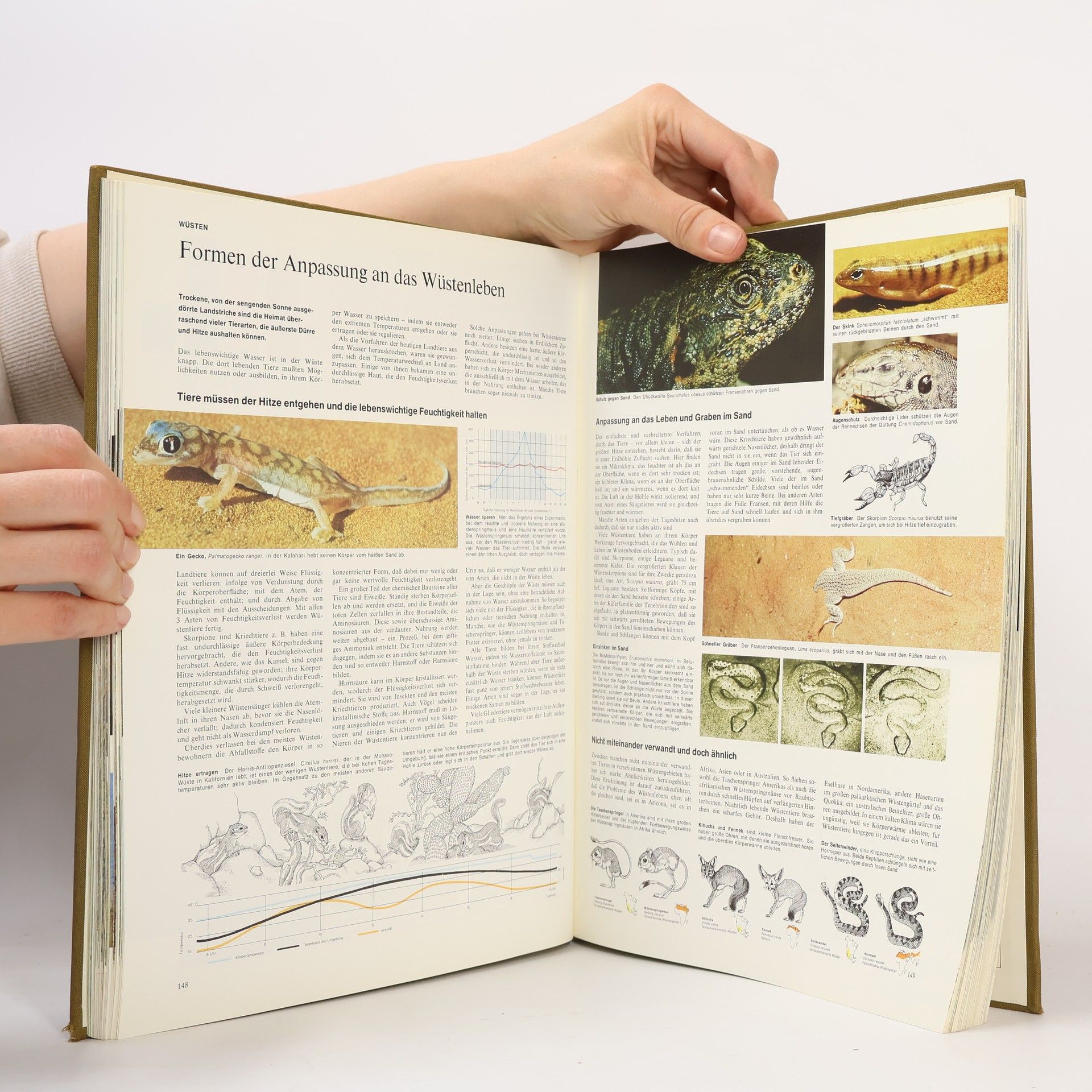 Autorenkollektiv Reader's Digest Bildatlas der Tierwelt