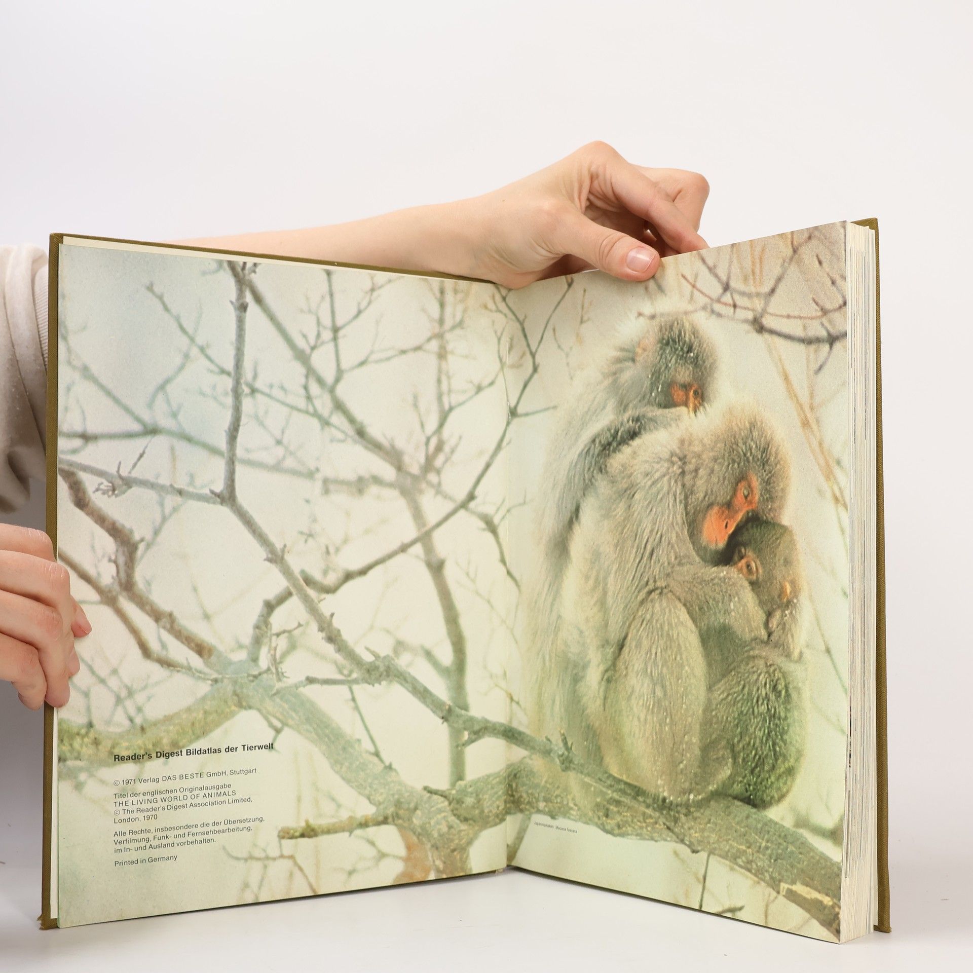Autorenkollektiv Reader's Digest Bildatlas der Tierwelt