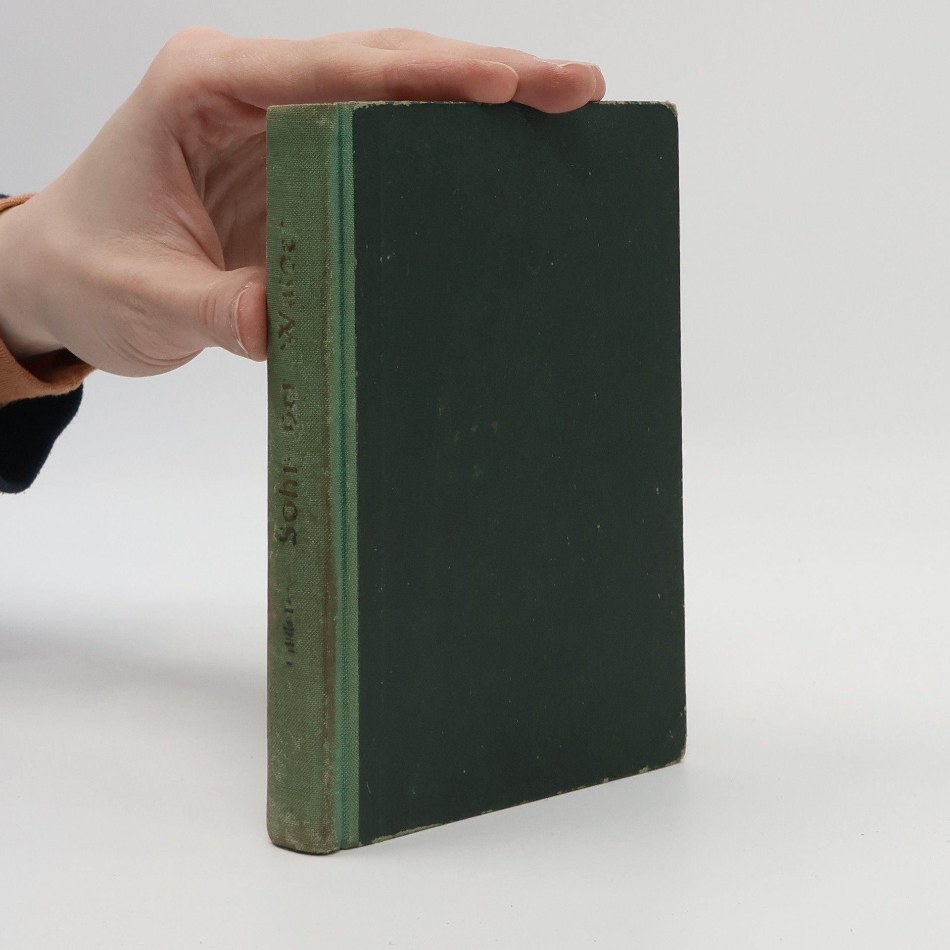 Kurt Arnold Findeisen Der Sohn der Wälder