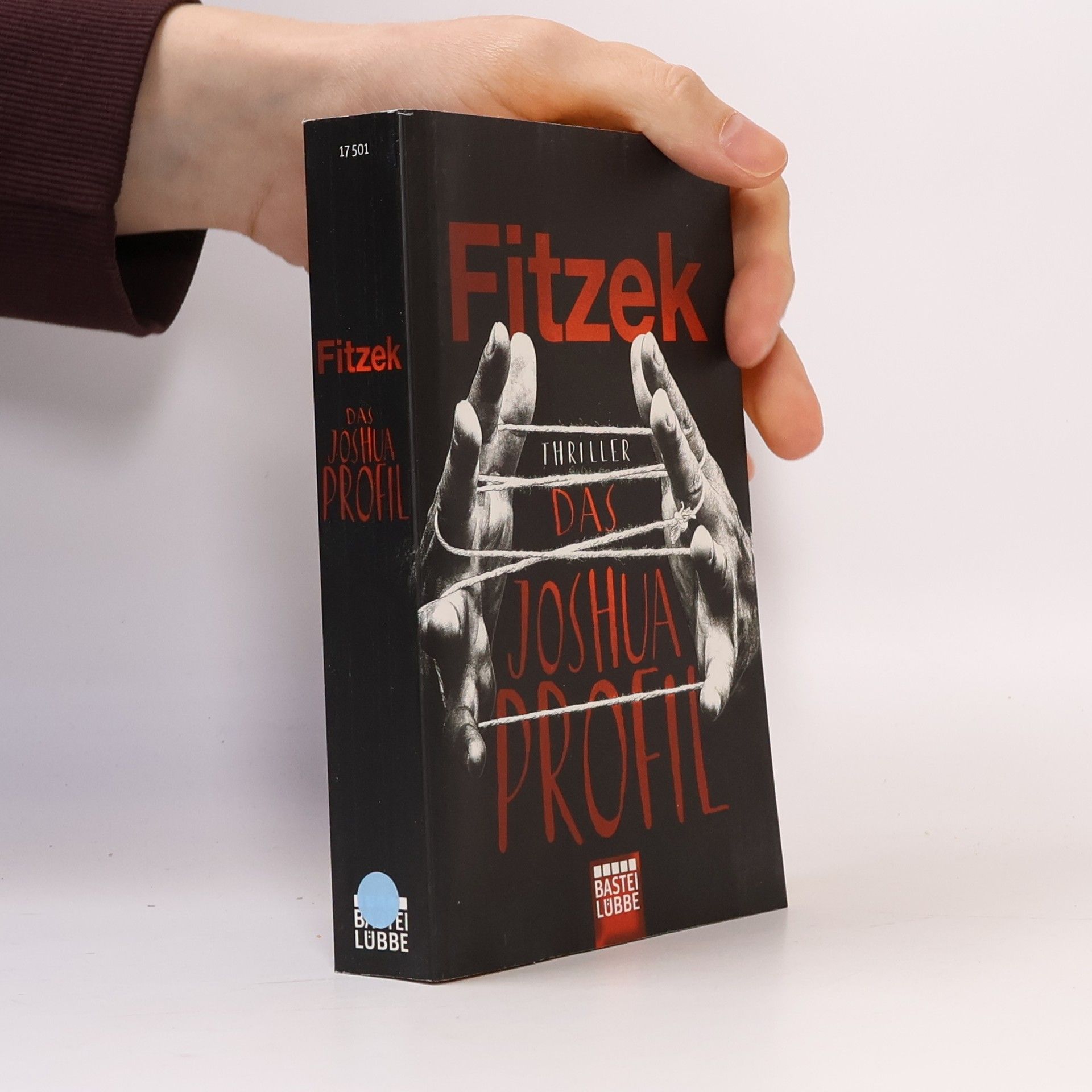 Sebastian Fitzek Das Joshua-Profil