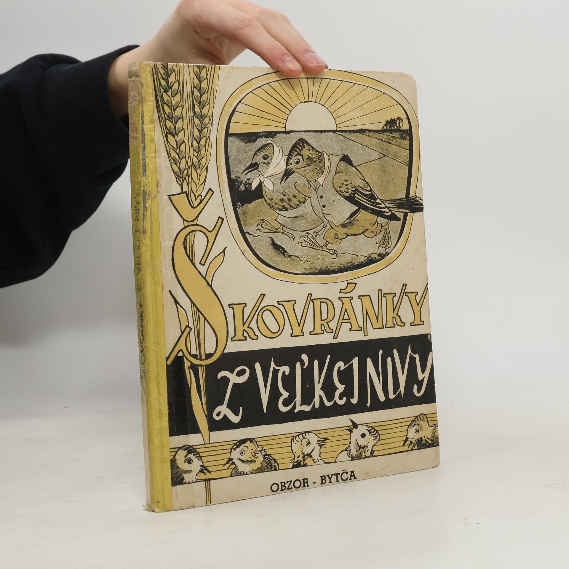 Autorenkollektiv Škovránky z Veľkej nivy