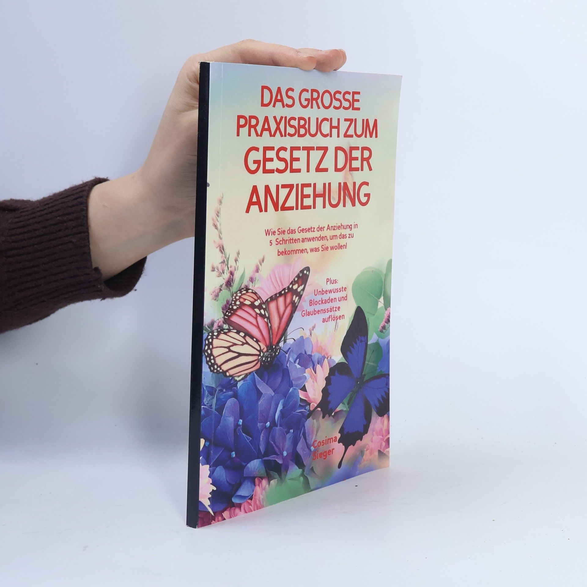 Das grosse Praxisbuch zum Gesetz der Anziehung!