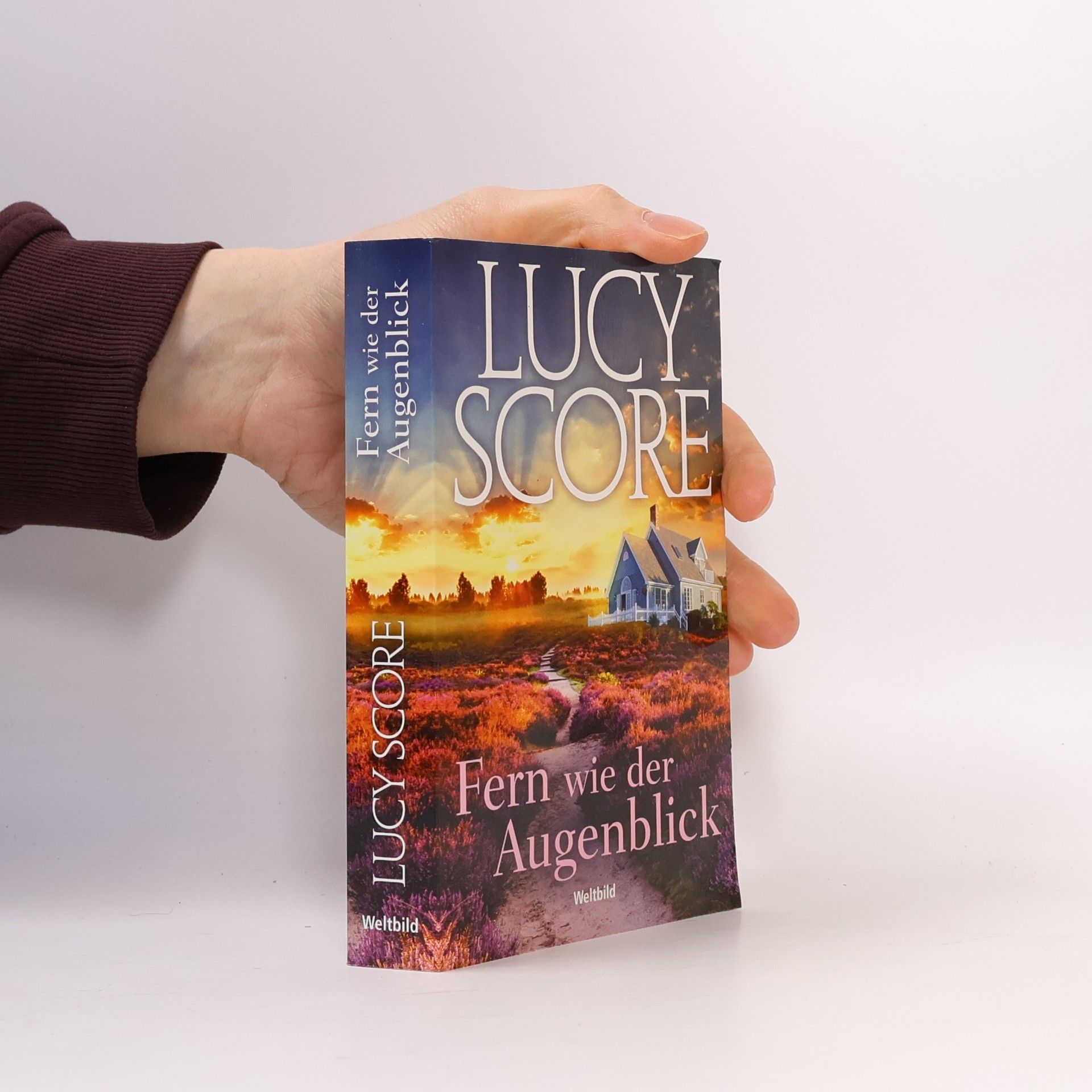 Lucy Score Fern wie der Augenblick