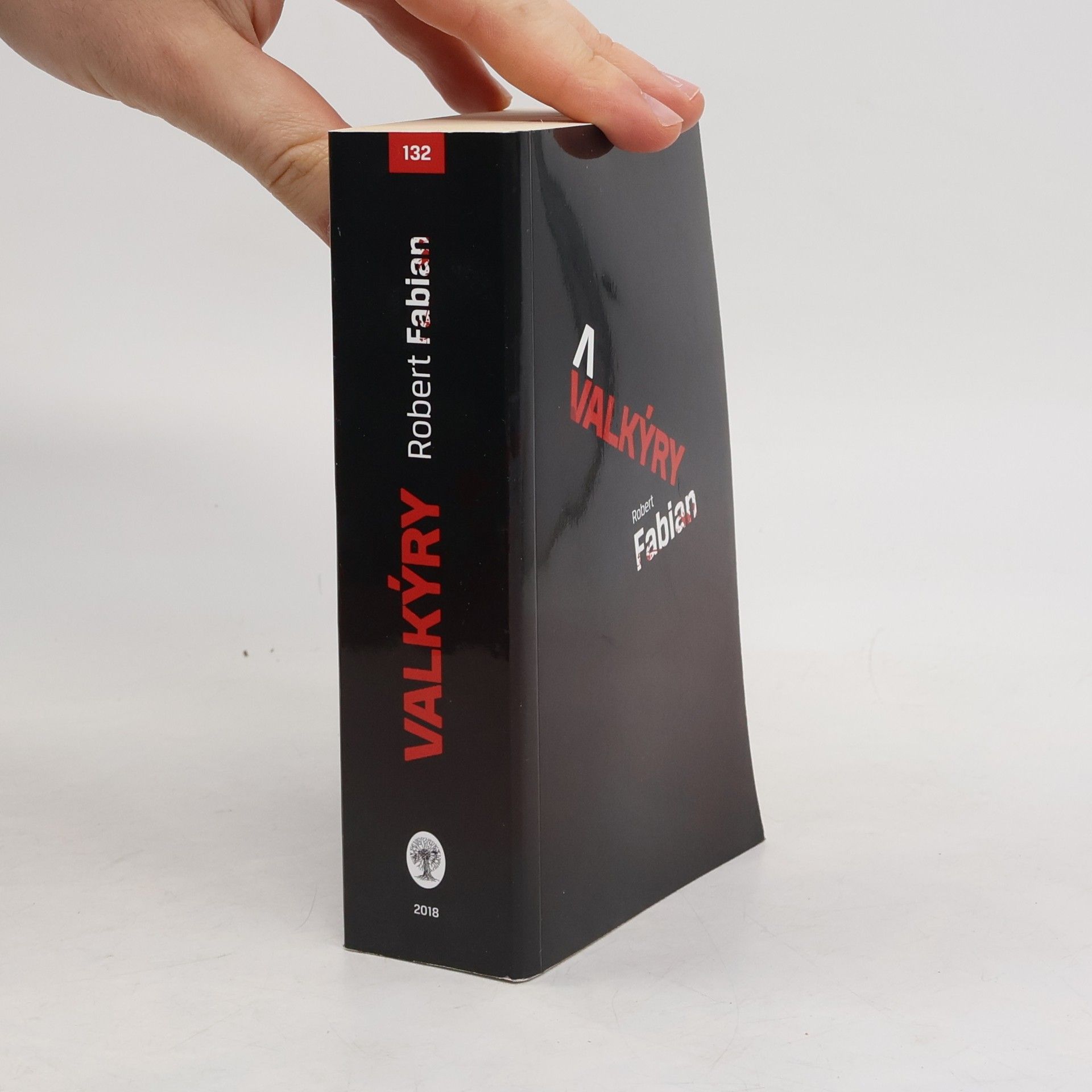 Robert Fabian Valkýry