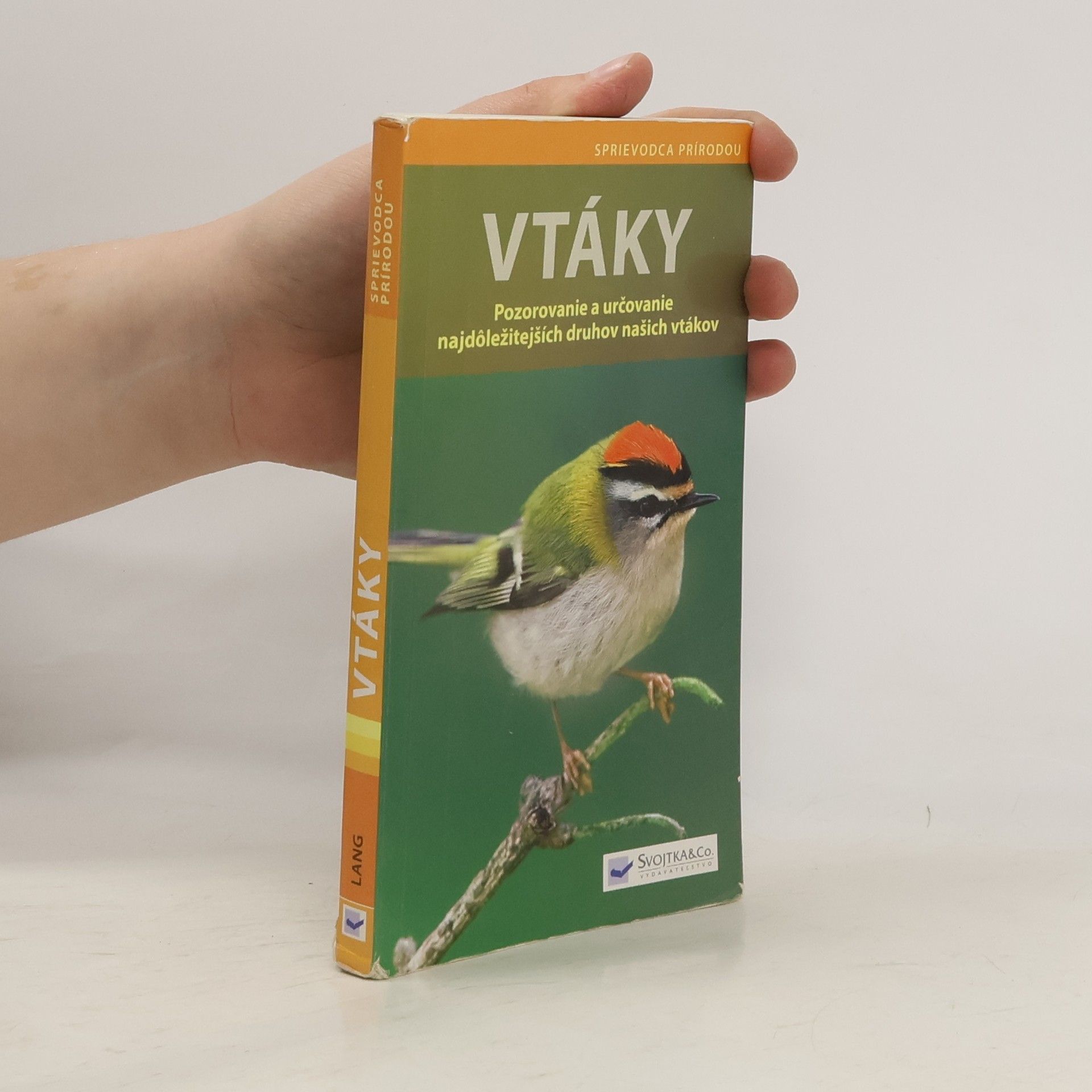 Angelika Lang Vtáky