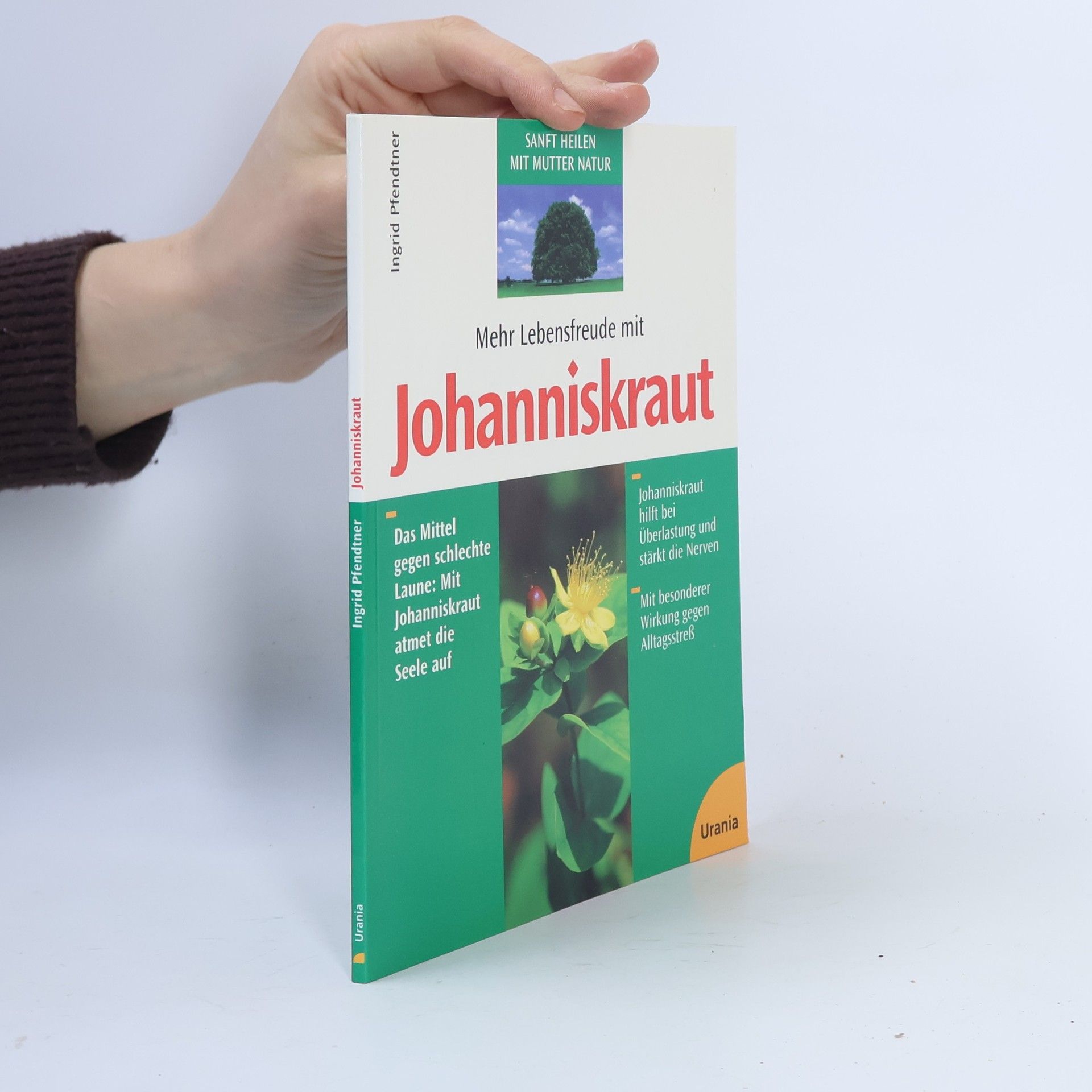 Ingrid Pfendtner Mehr Lebensfreude mit Johanniskraut