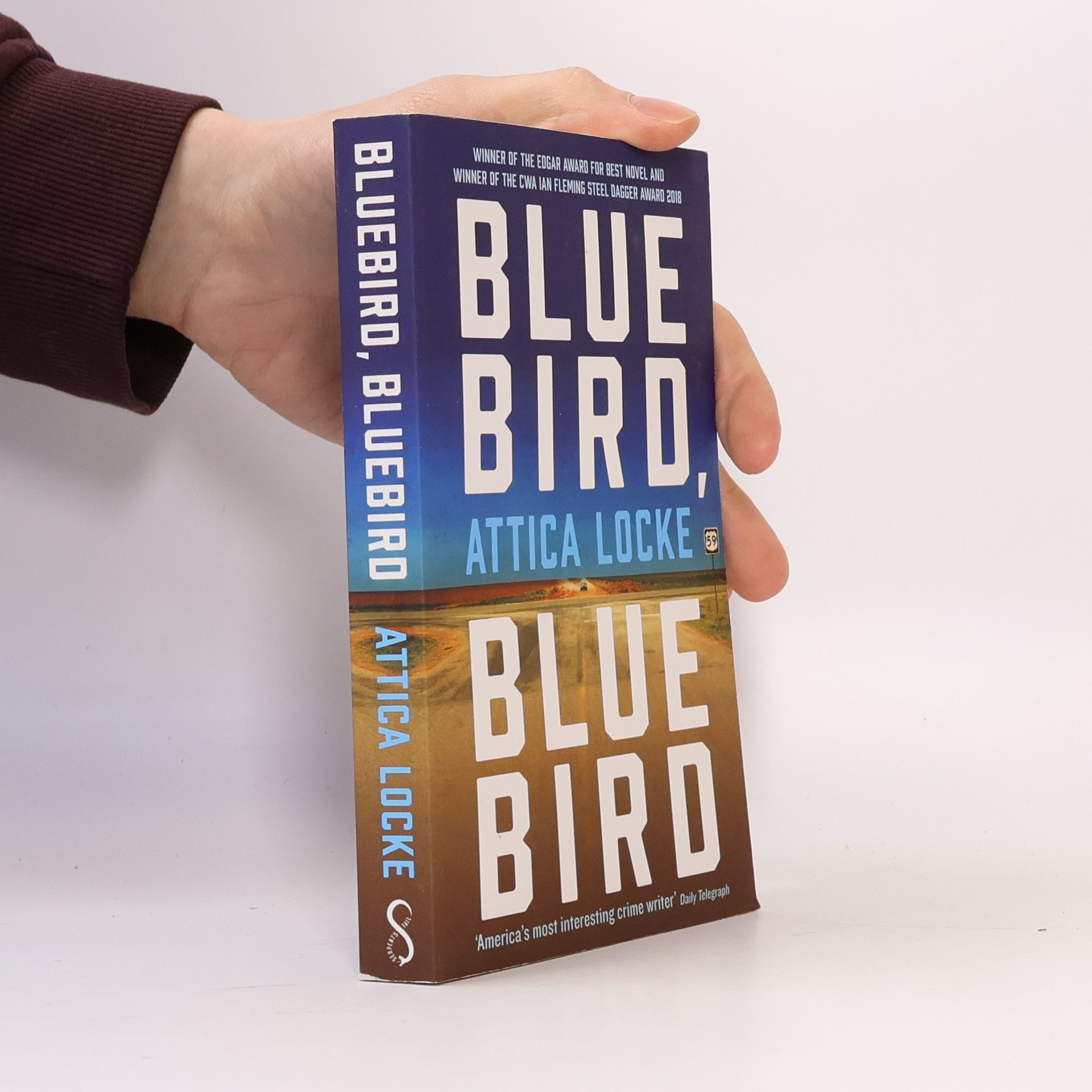 Attica Locke Bluebird, Bluebird