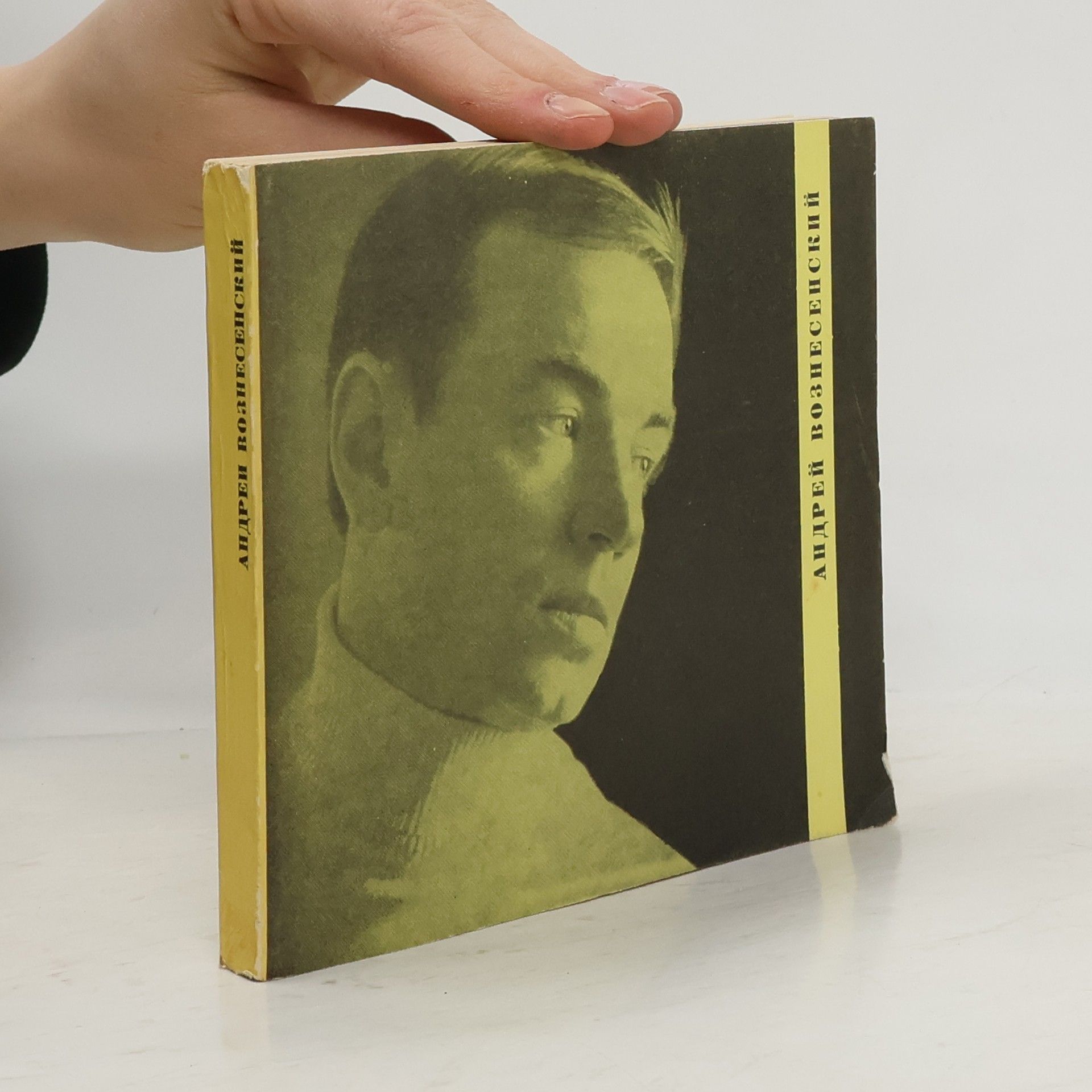 Kolektiv autorů Андрей Вознесенский