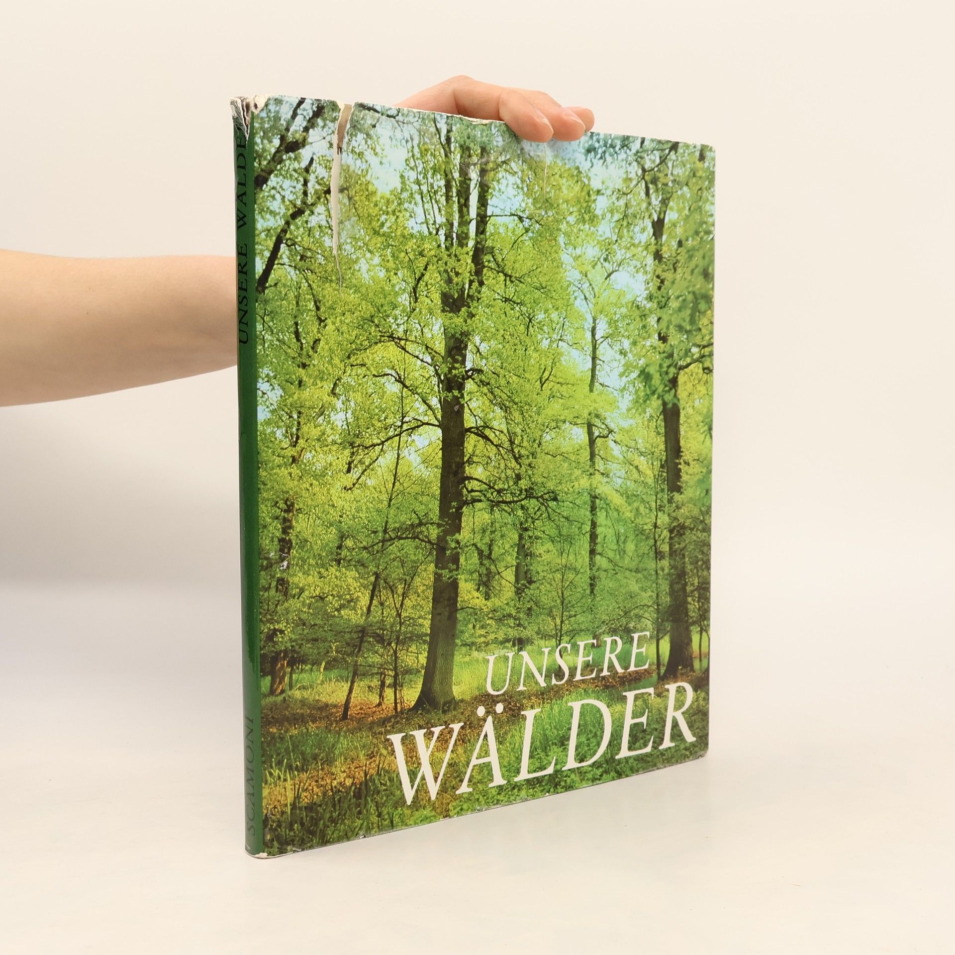 Alexis Scamoni Unsere Wälder