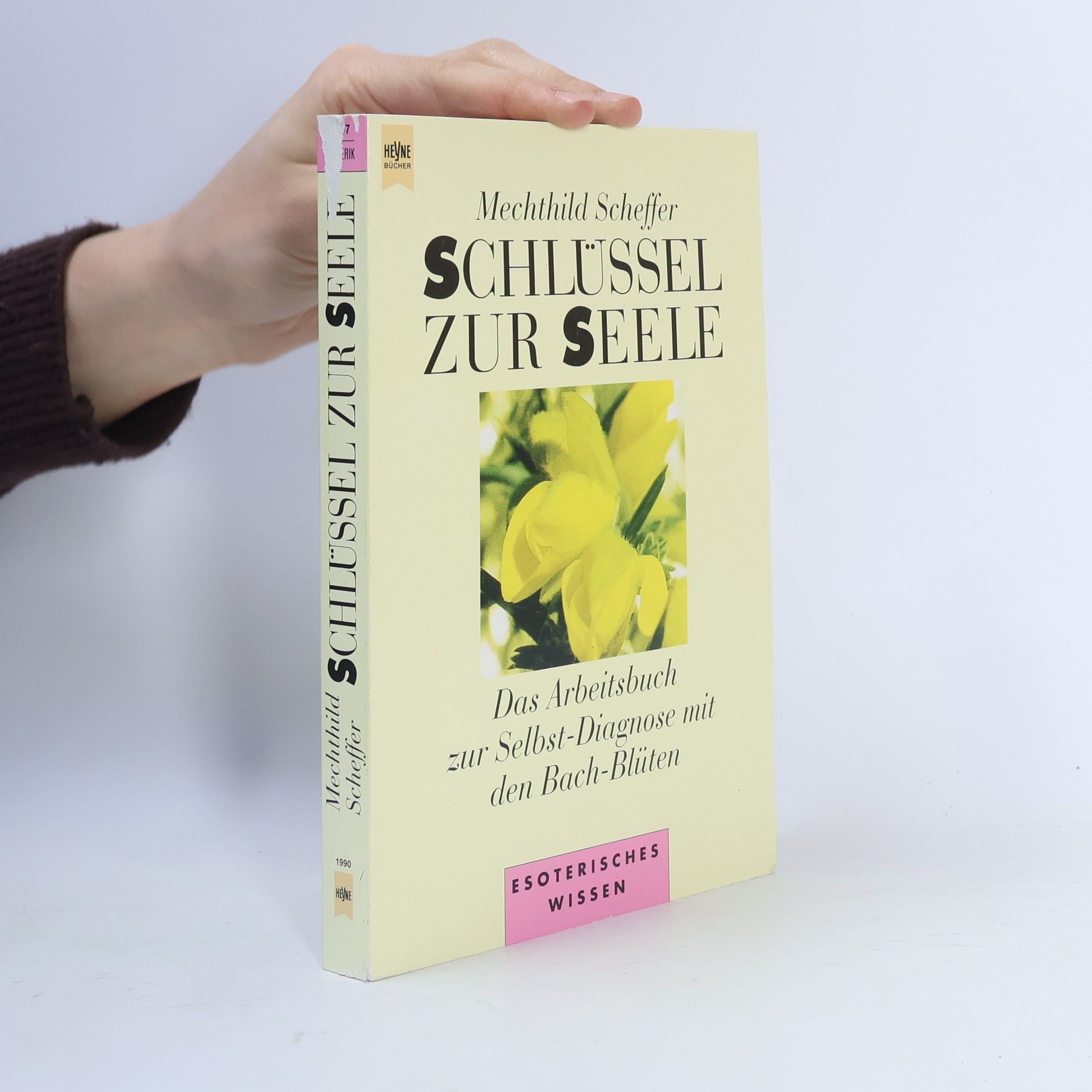 Mechthild Scheffer Schlüssel zur Seele