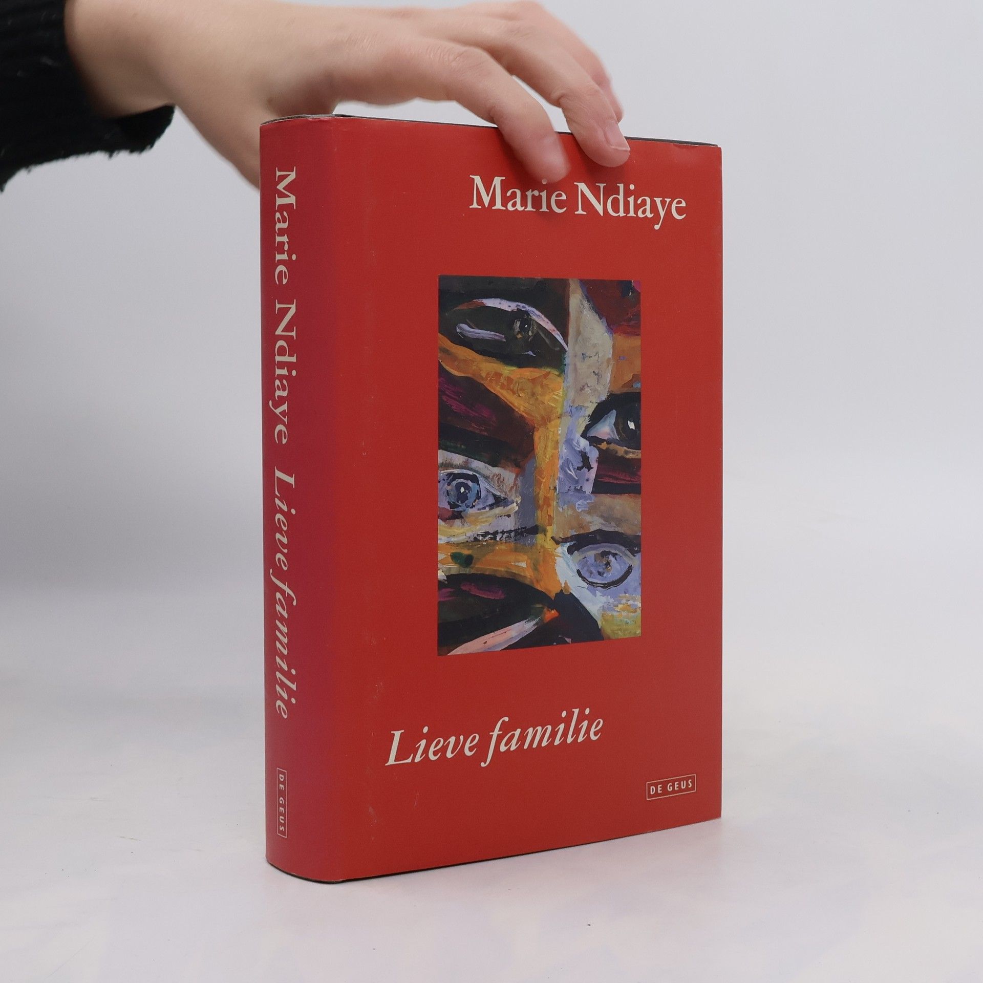 Marie NDiaye Lieve familie