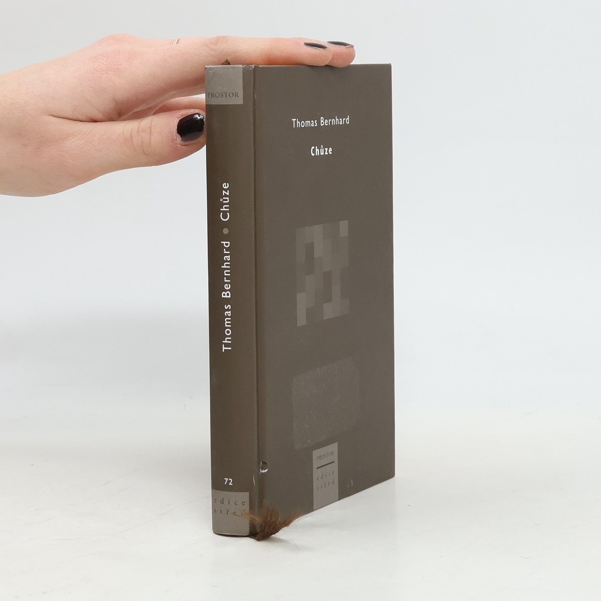 Thomas Bernhard Chůze