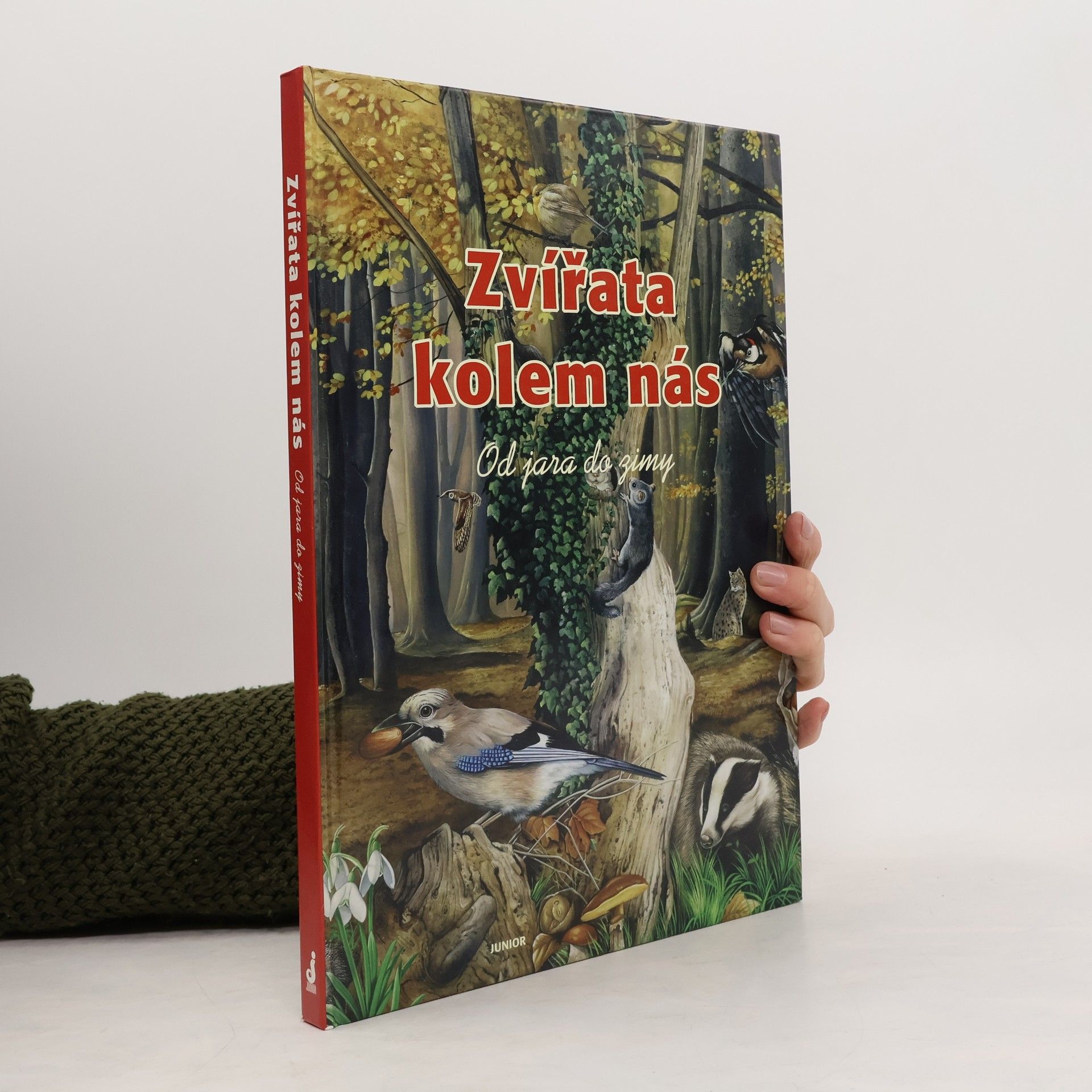 Renzo Barsotti Zvířata kolem nás: Od jara do zimy